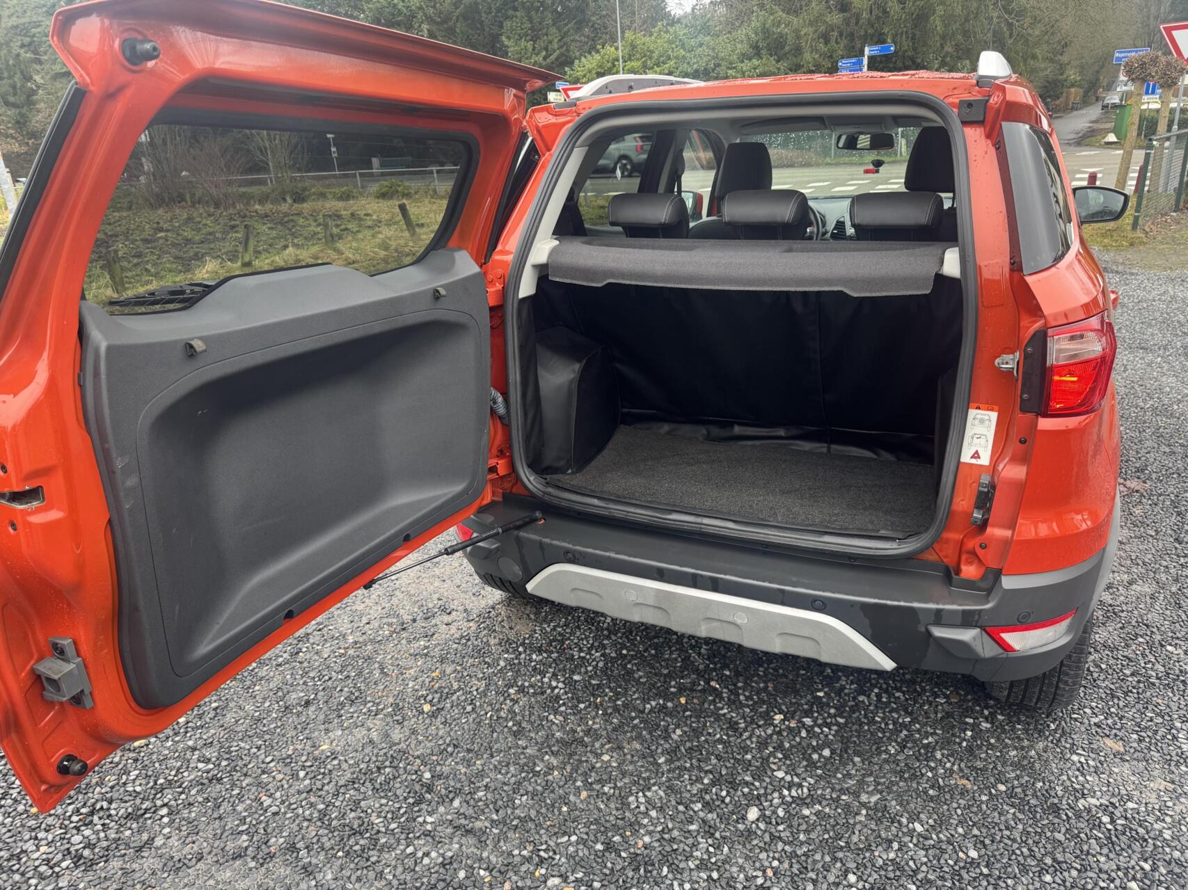 Foto van Ford Ecosport