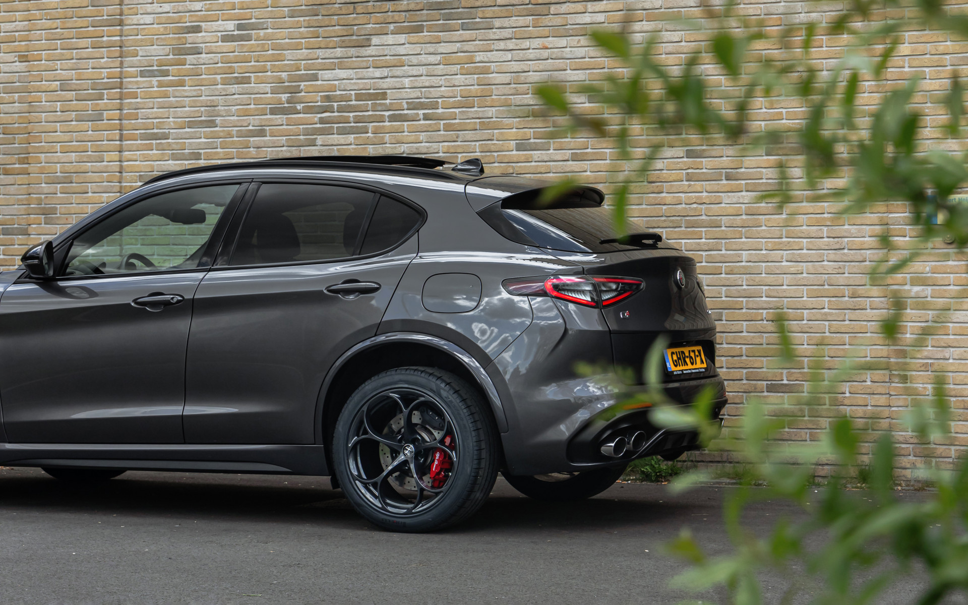 Foto van Alfa Romeo Stelvio Quadrifoglio