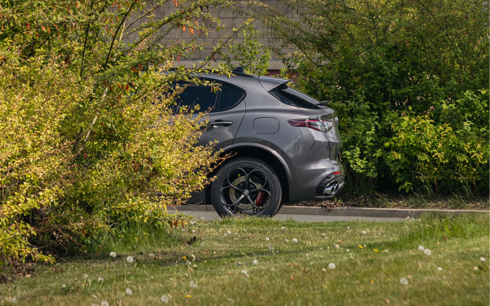 Foto van Alfa Romeo Stelvio Quadrifoglio