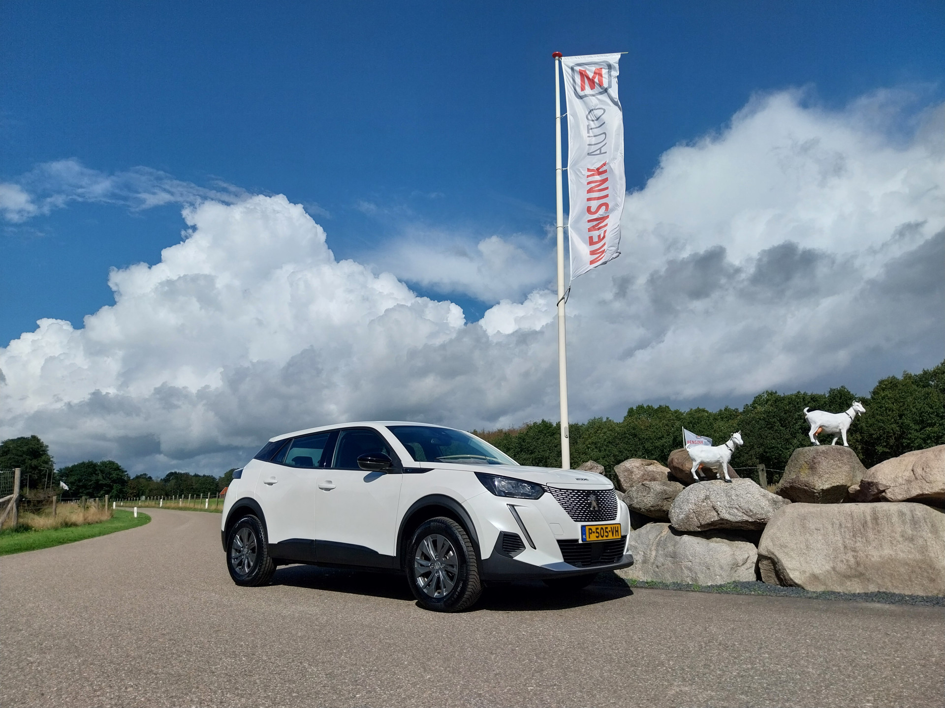 Foto van Peugeot E-2008