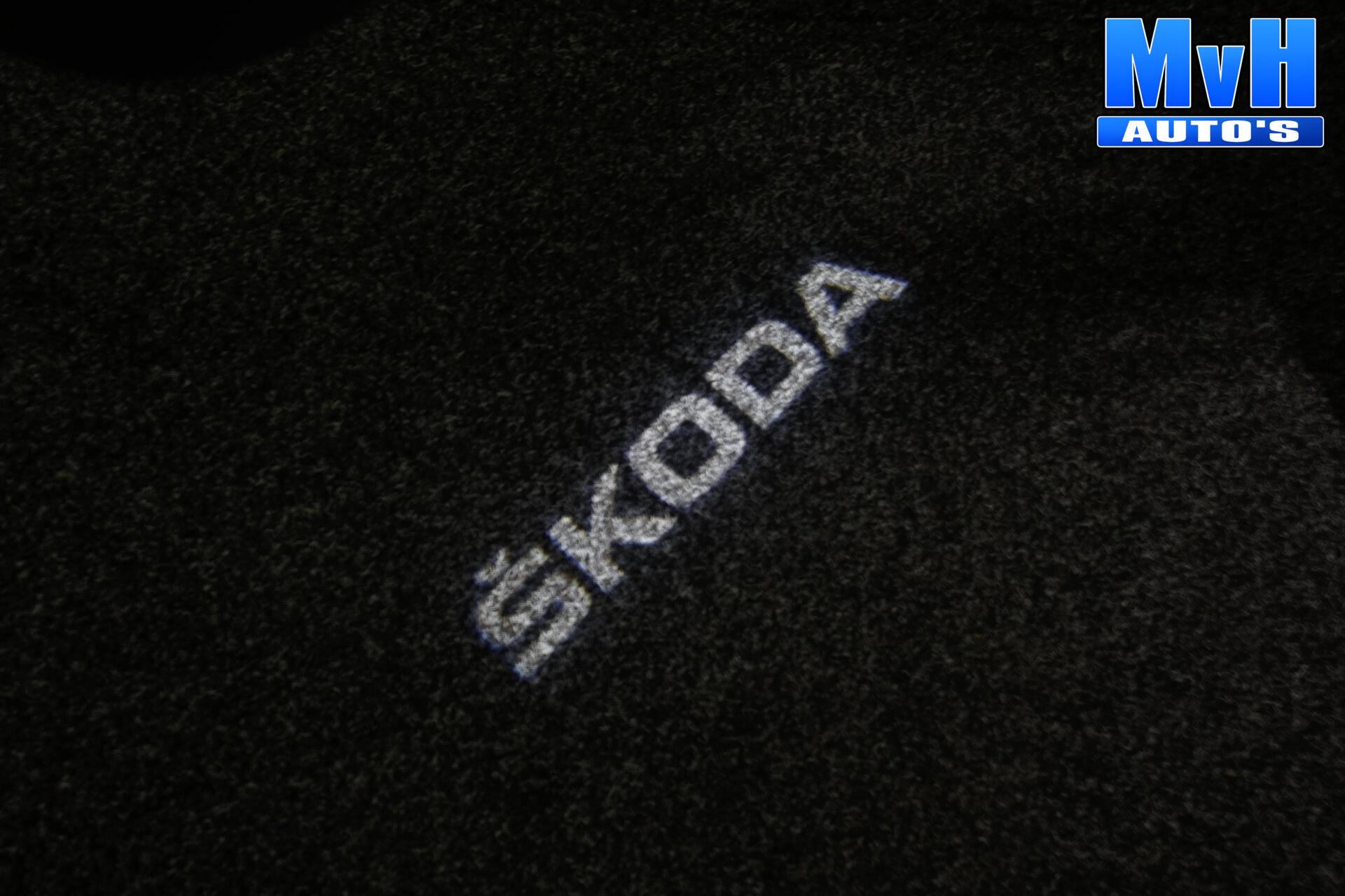 Foto van Skoda Octavia RS