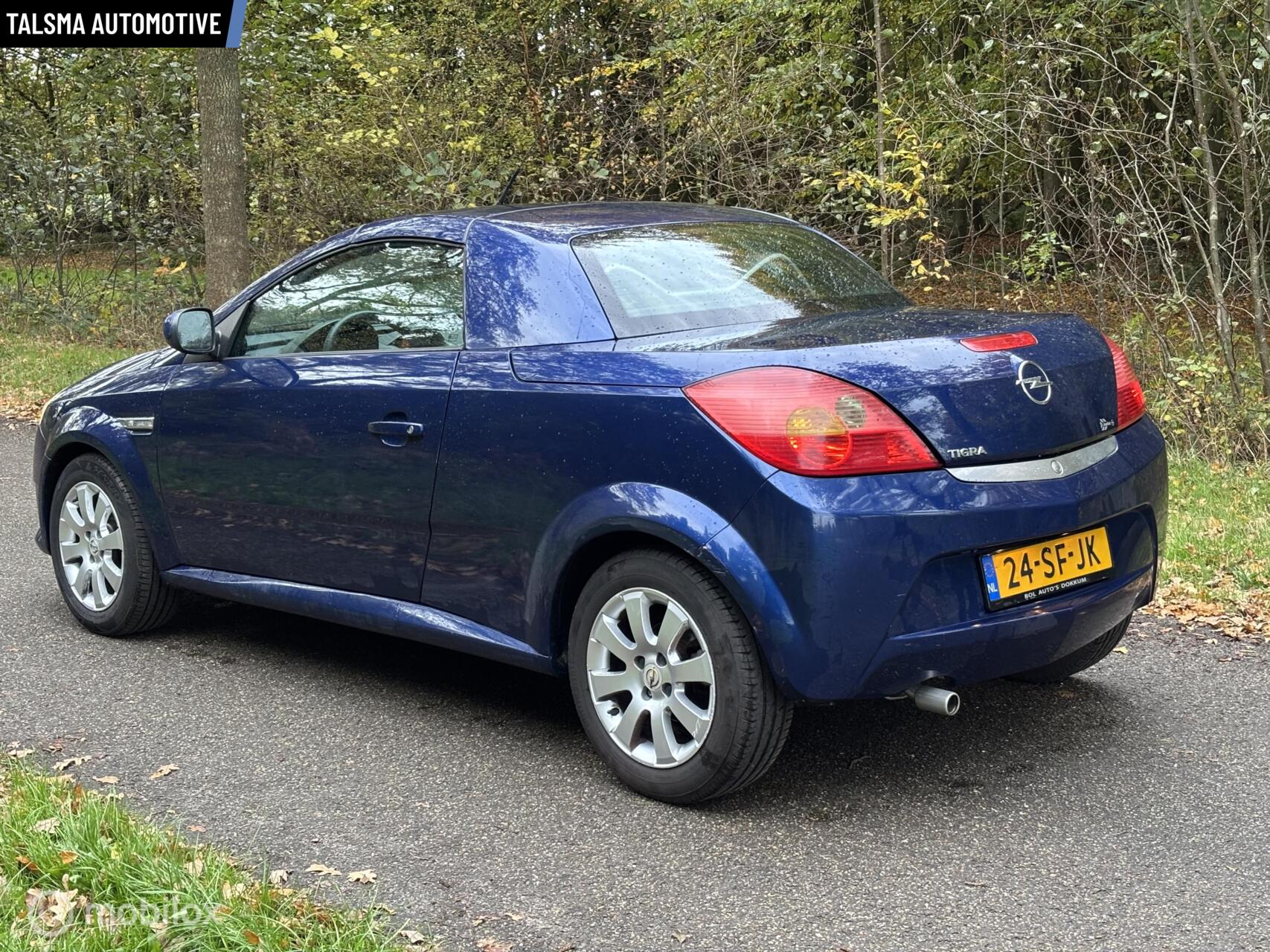 Foto van Opel Tigra Twintop