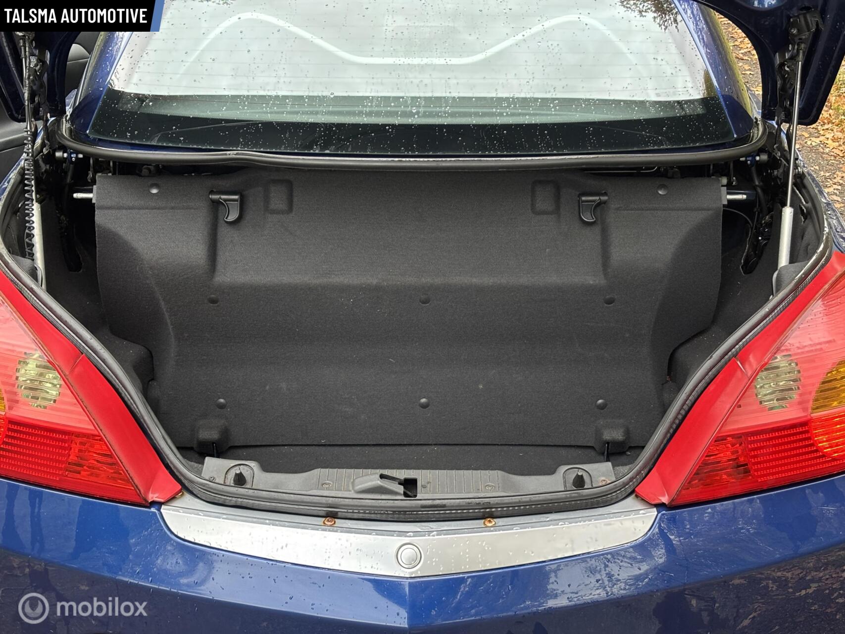 Foto van Opel Tigra Twintop