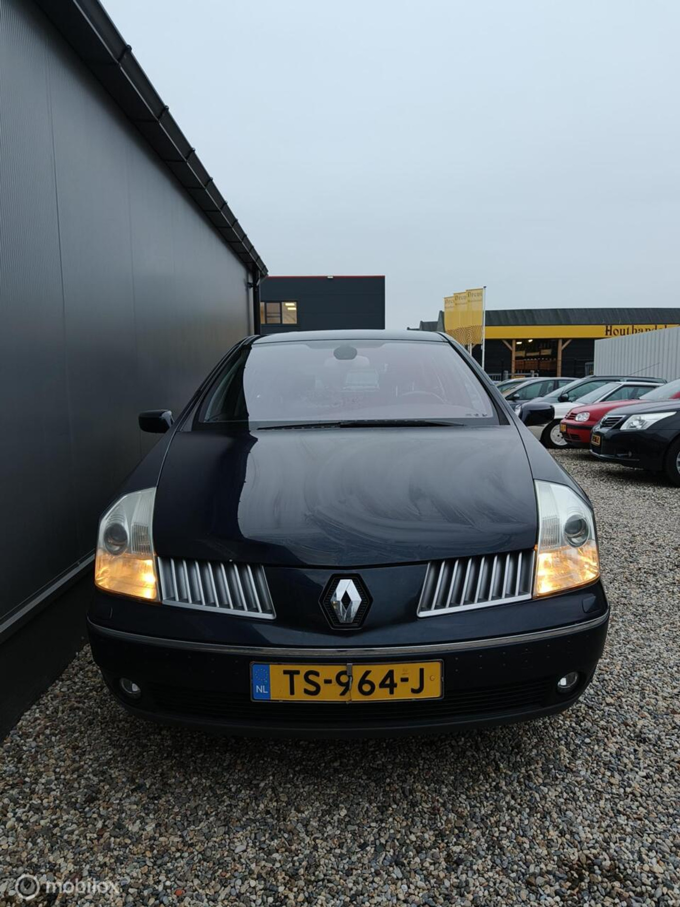Foto van Renault Vel Satis