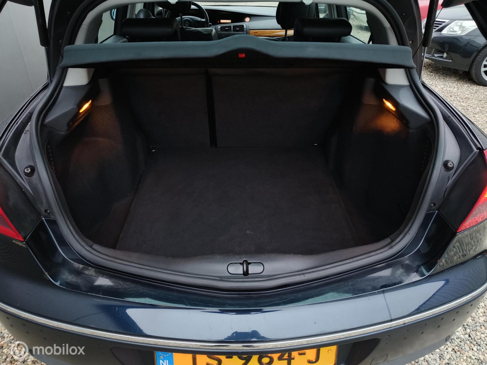 Foto van Renault Vel Satis