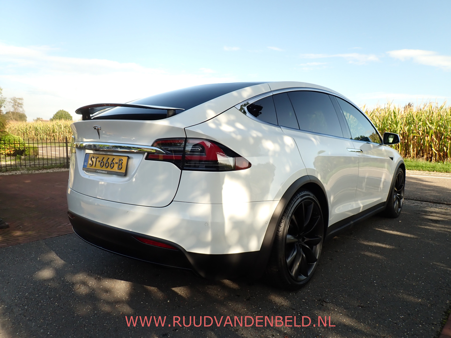 Foto van Tesla Model X