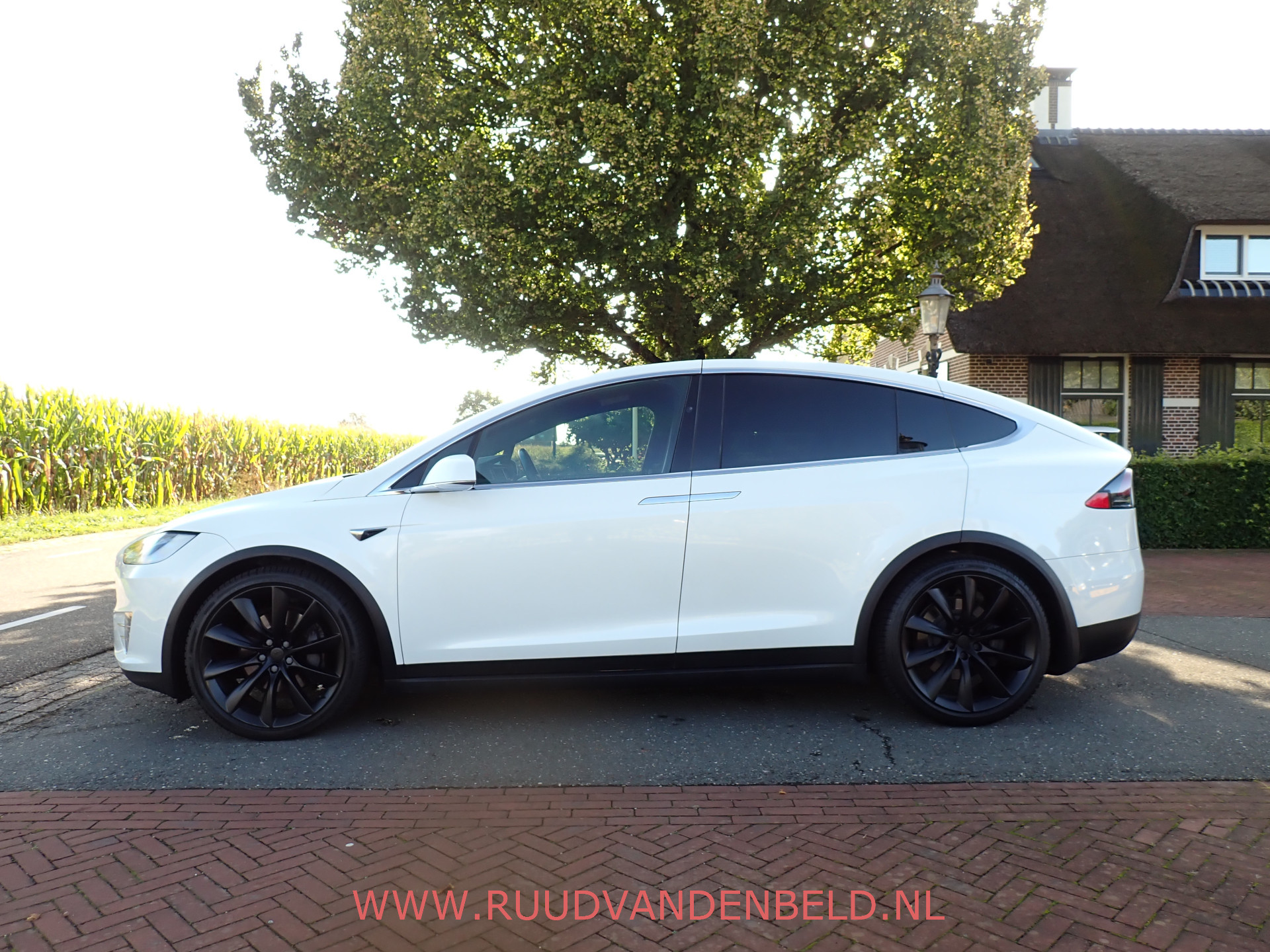 Foto van Tesla Model X