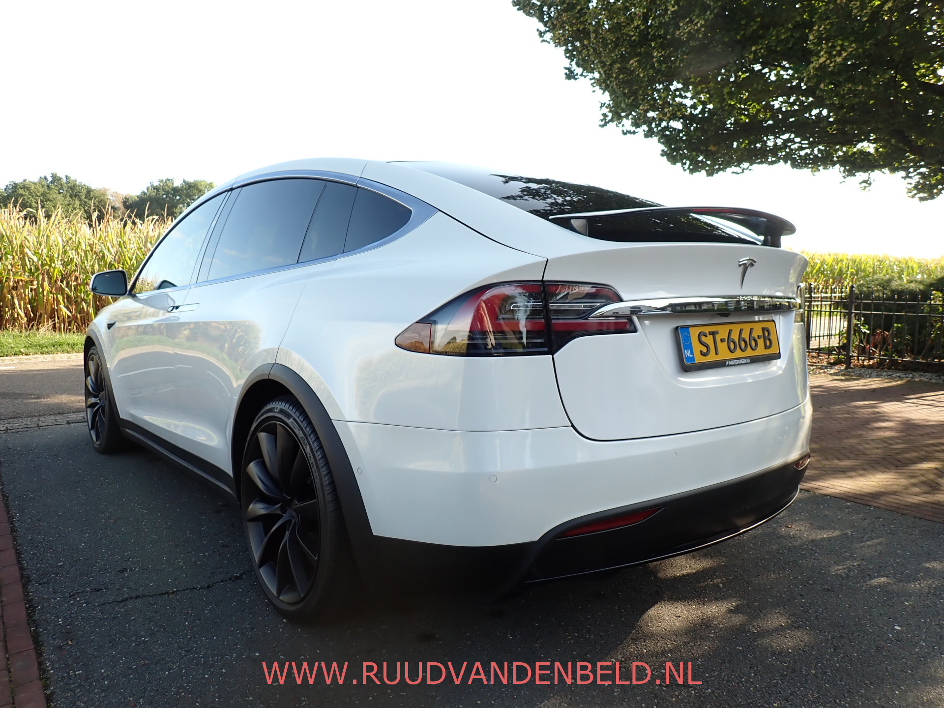 Foto van Tesla Model X