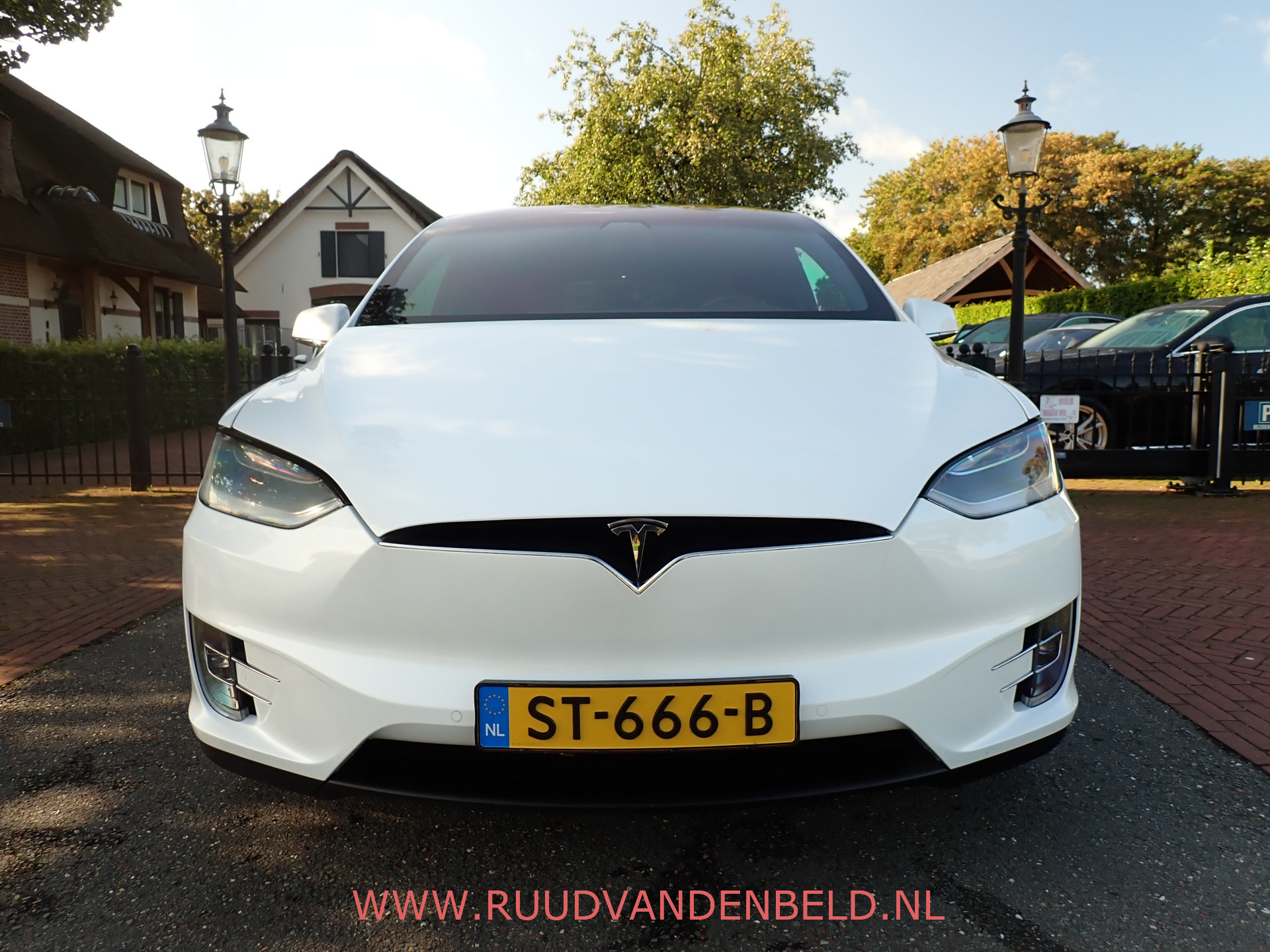 Foto van Tesla Model X