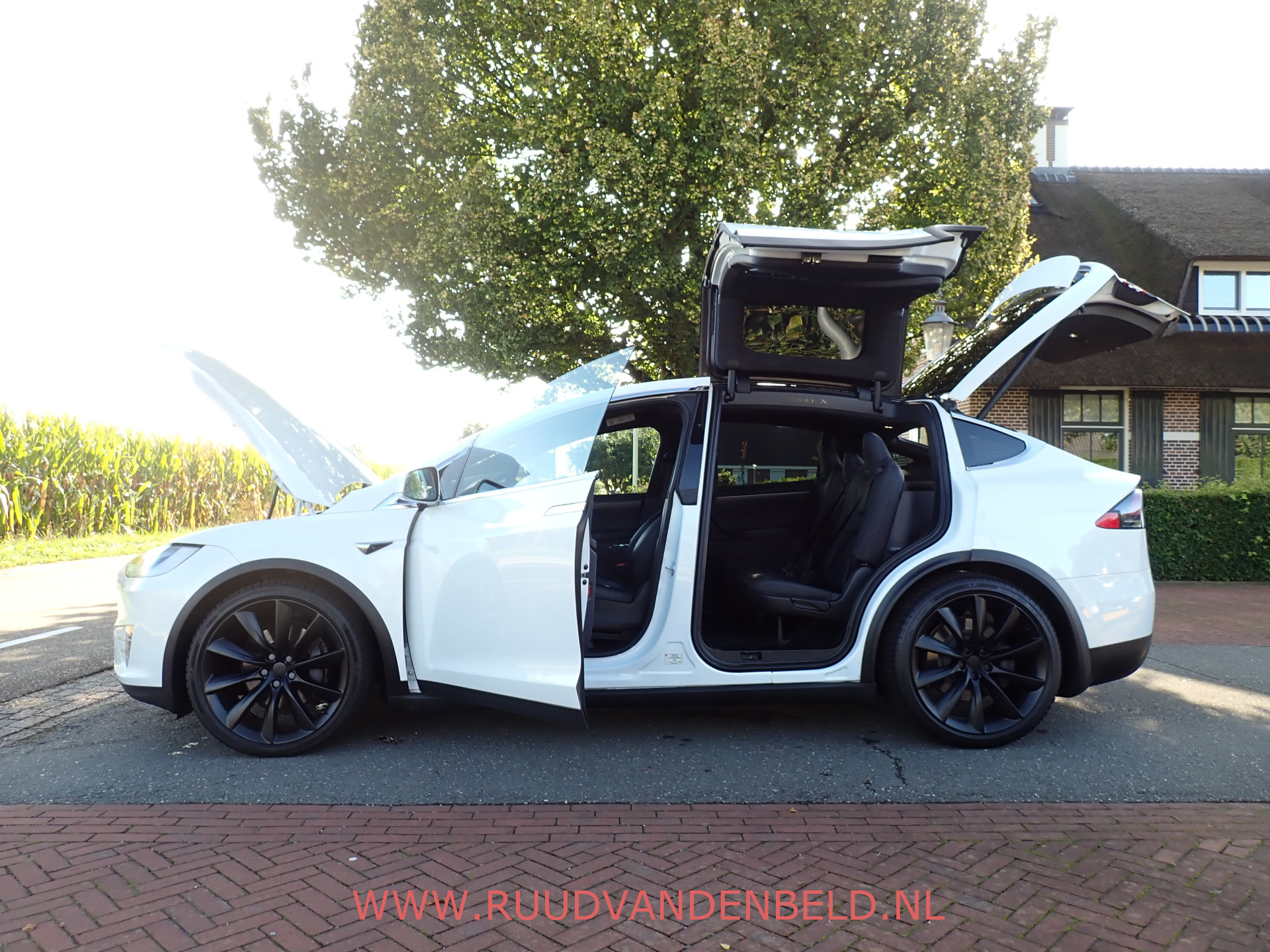Foto van Tesla Model X