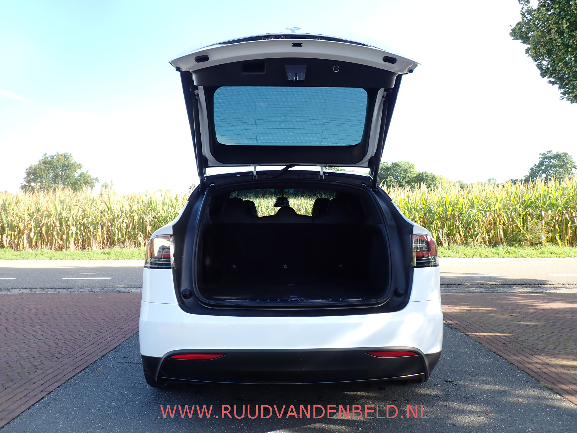Foto van Tesla Model X
