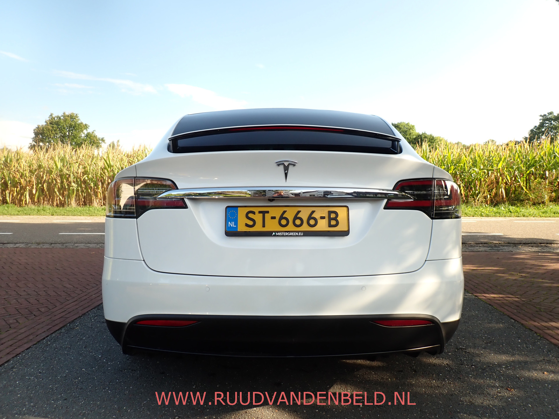 Foto van Tesla Model X