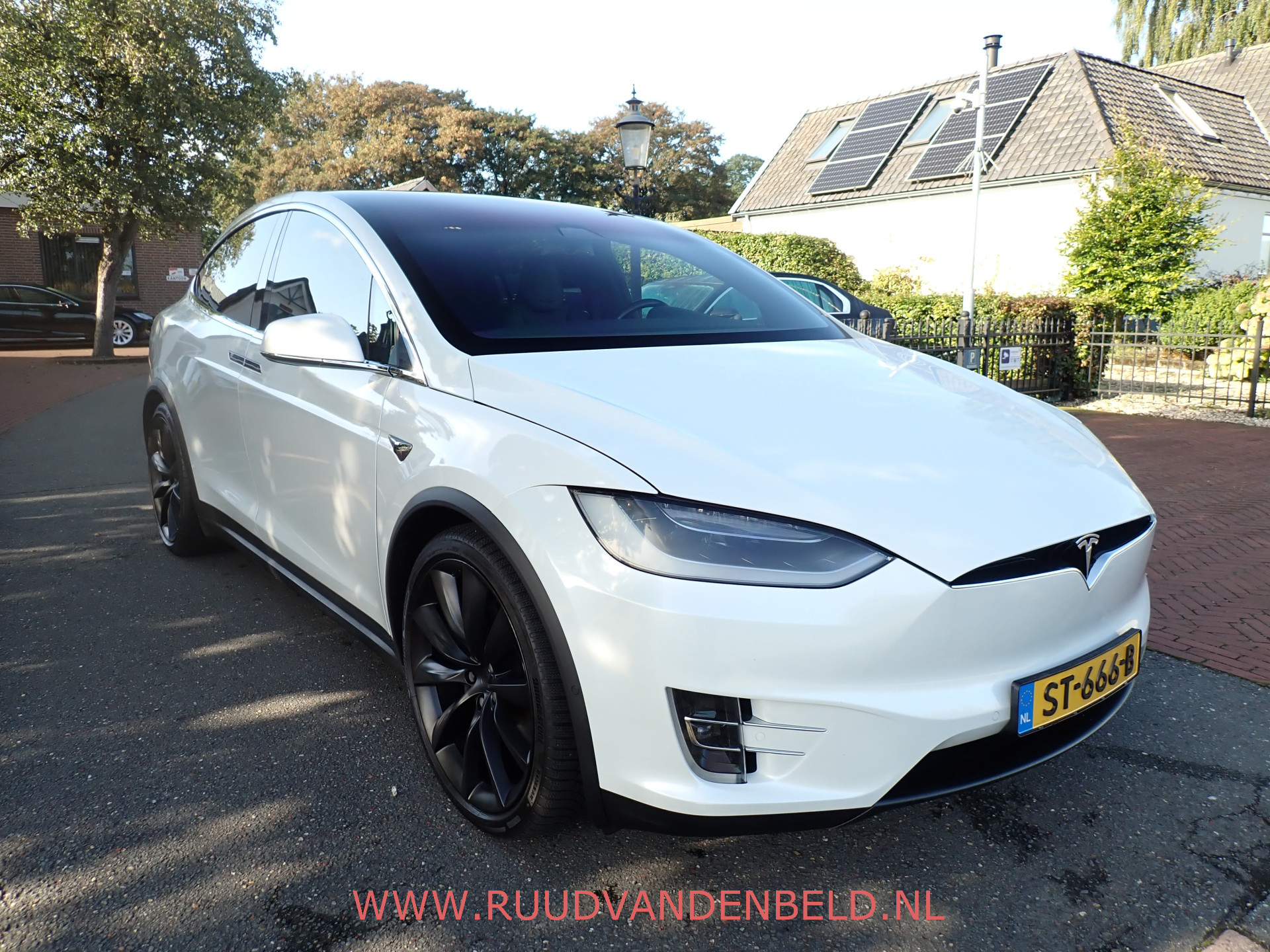 Foto van Tesla Model X