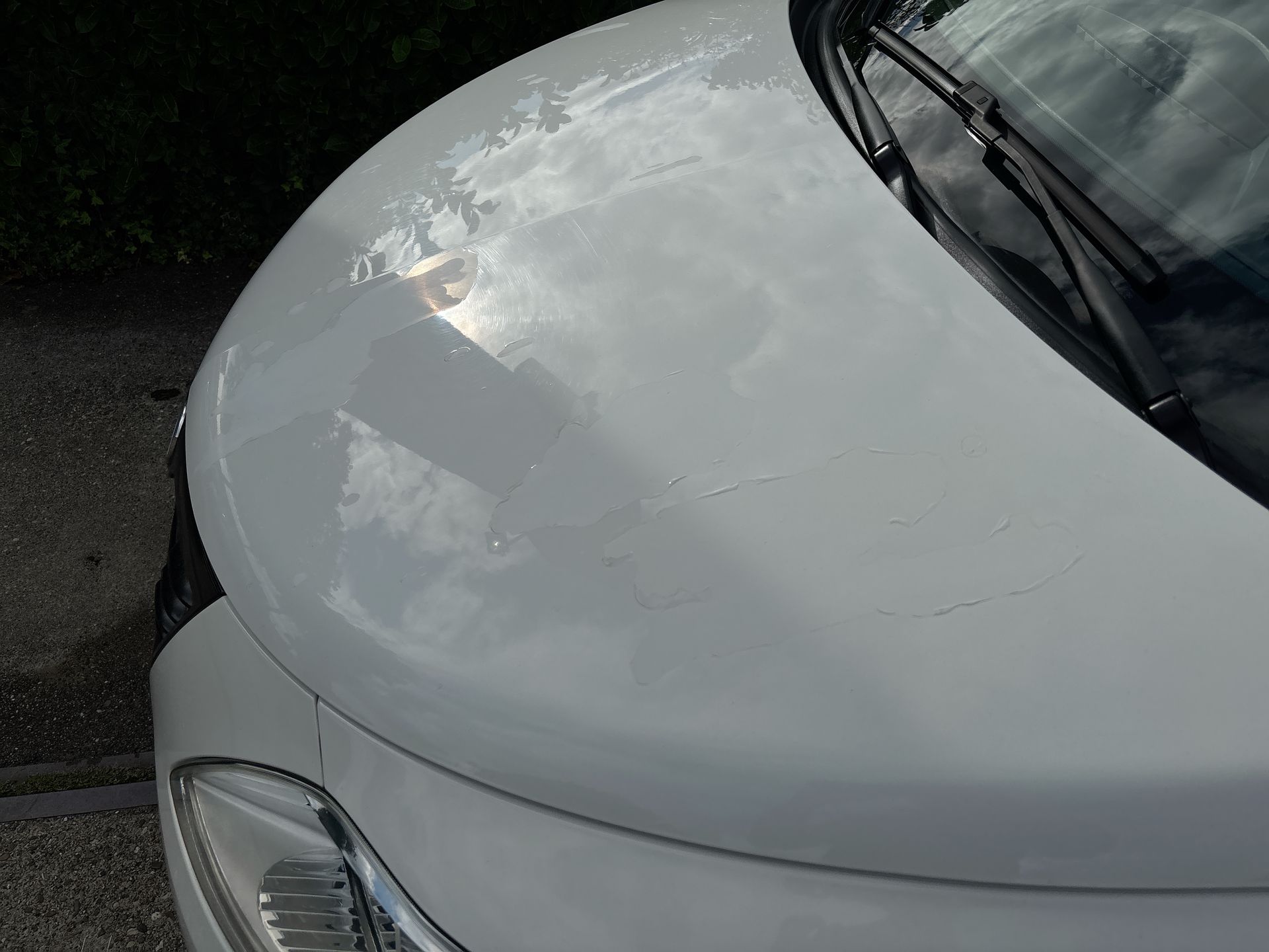 Foto van Lancia Ypsilon