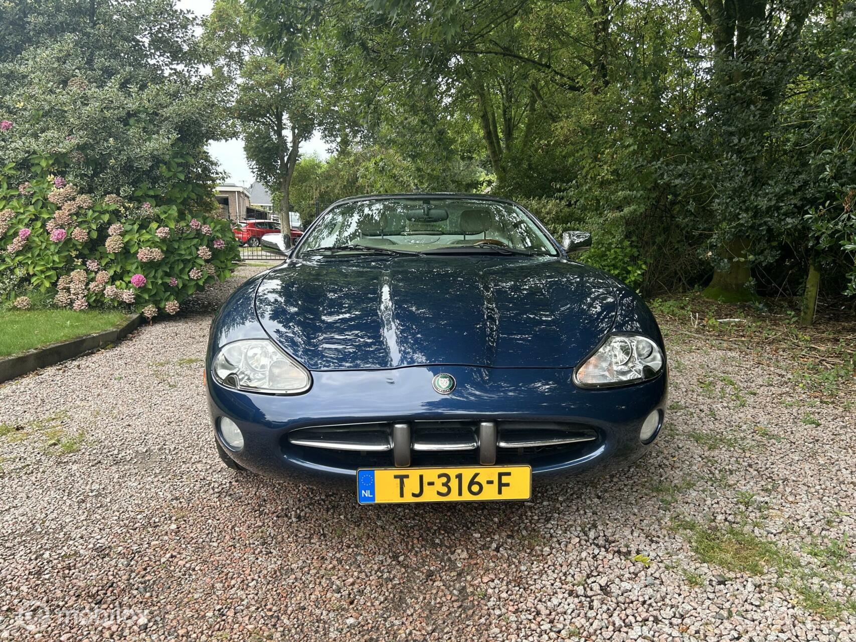 Foto van Jaguar Xk8