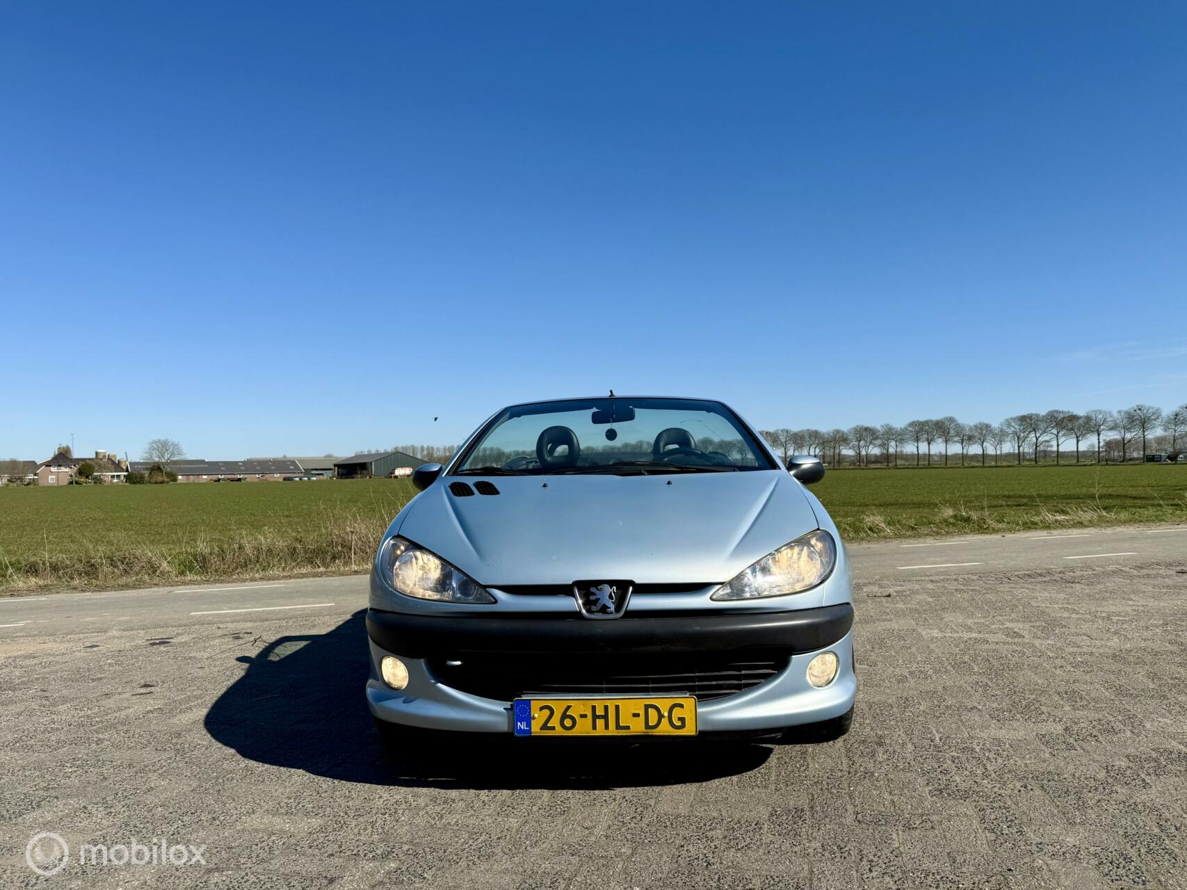 Foto van Peugeot 206 CC