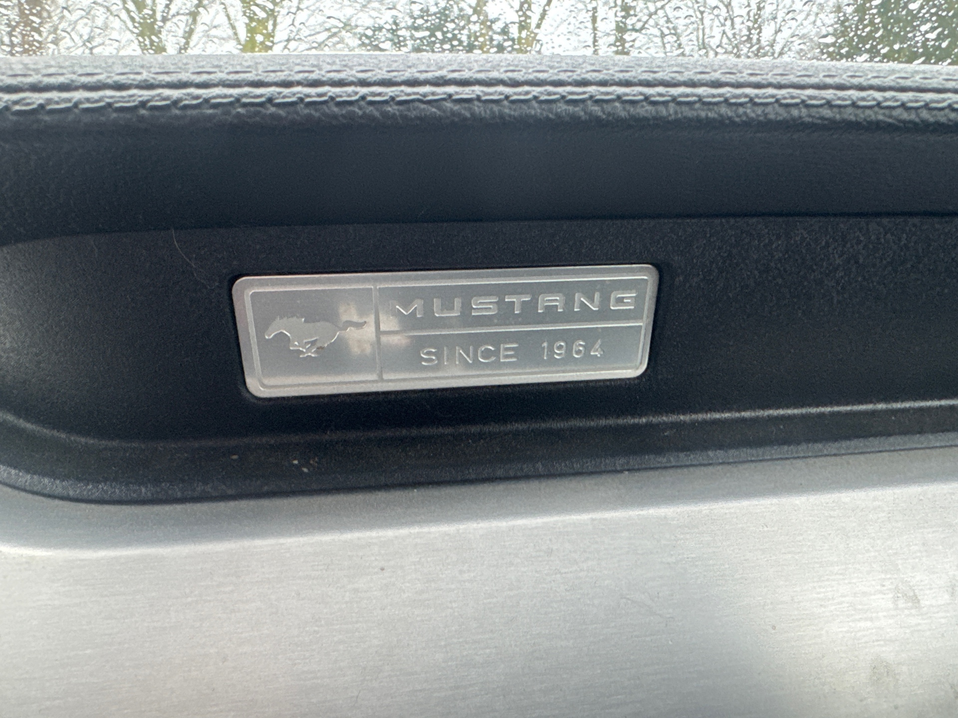 Foto van Ford Mustang