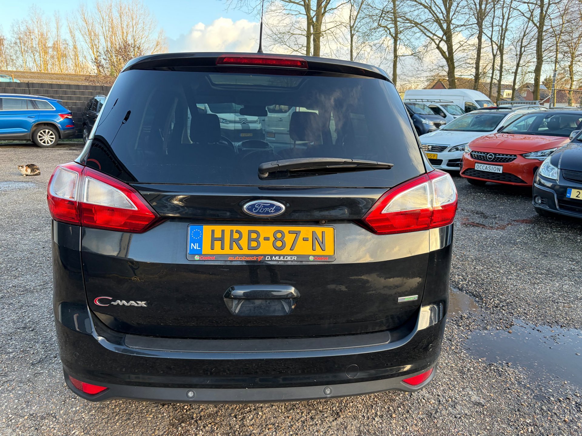 Foto van Ford Grand C-max