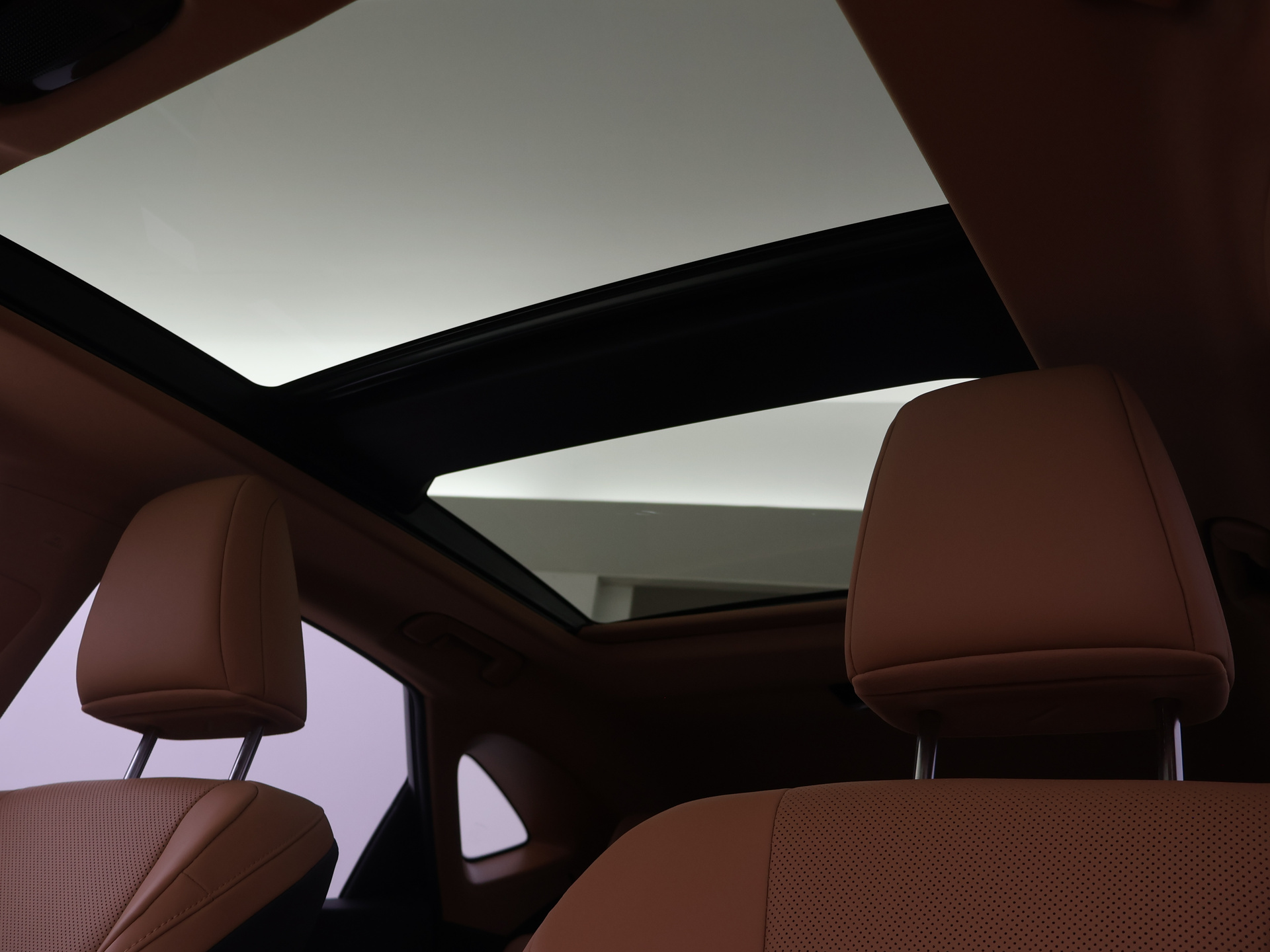 Foto van Lexus NX