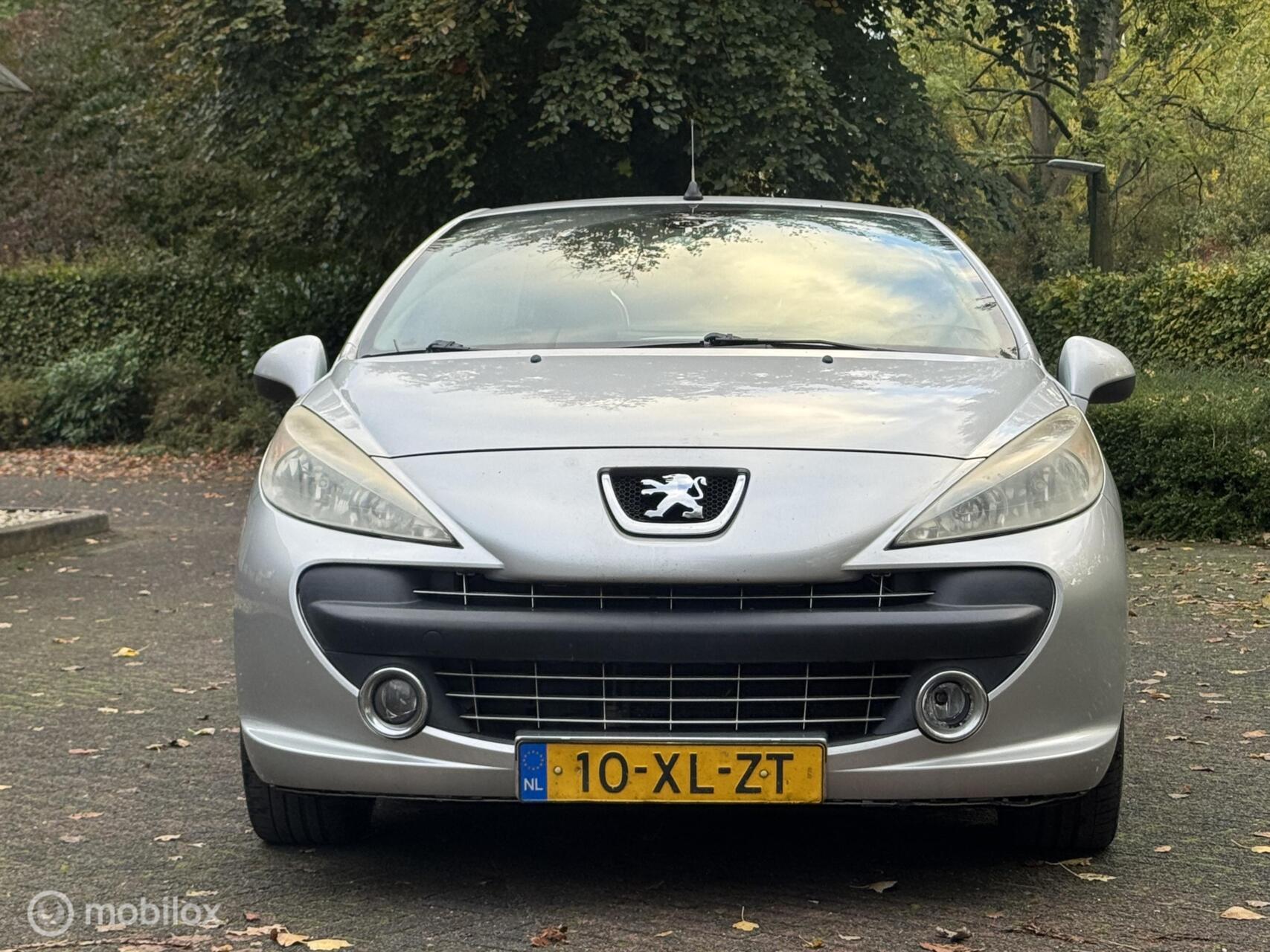 Foto van Peugeot 207