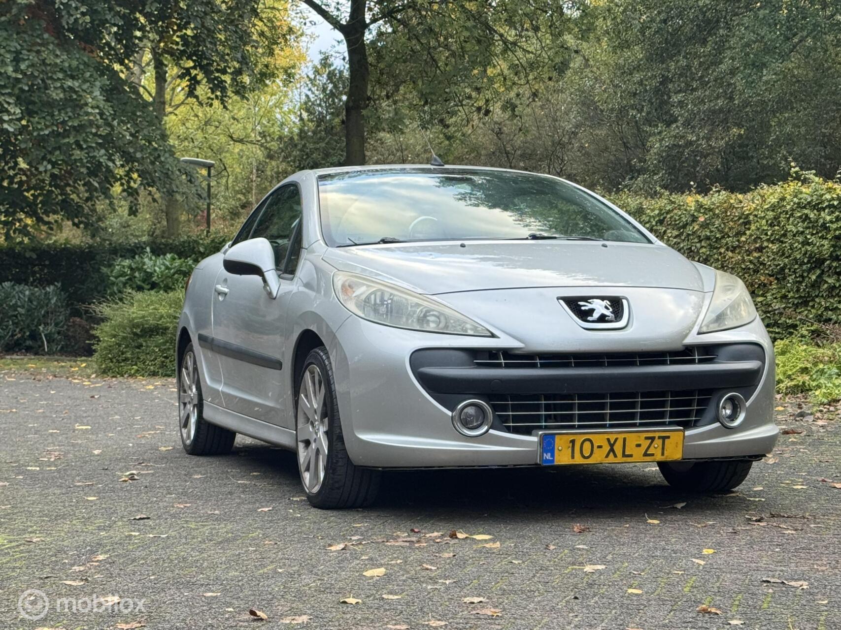 Foto van Peugeot 207