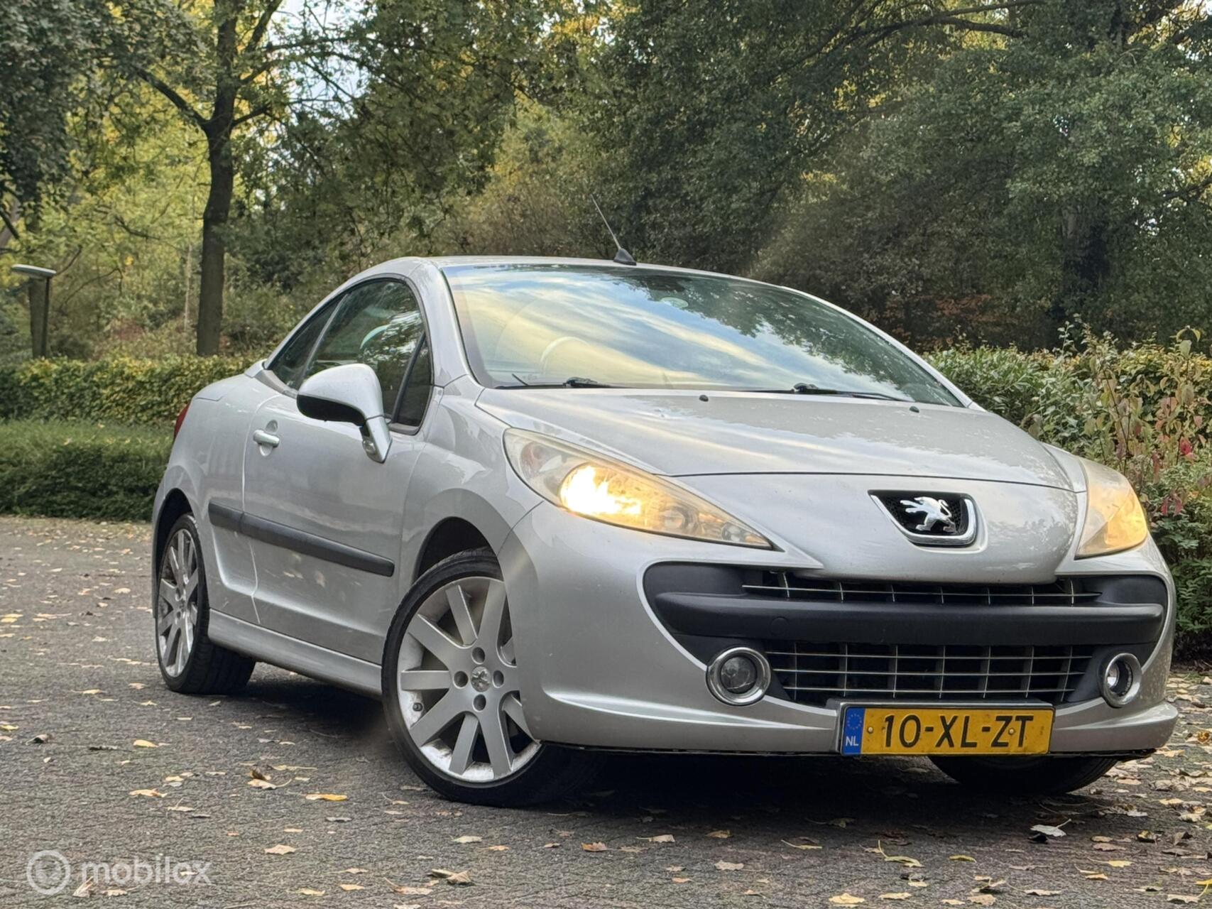 Foto van Peugeot 207
