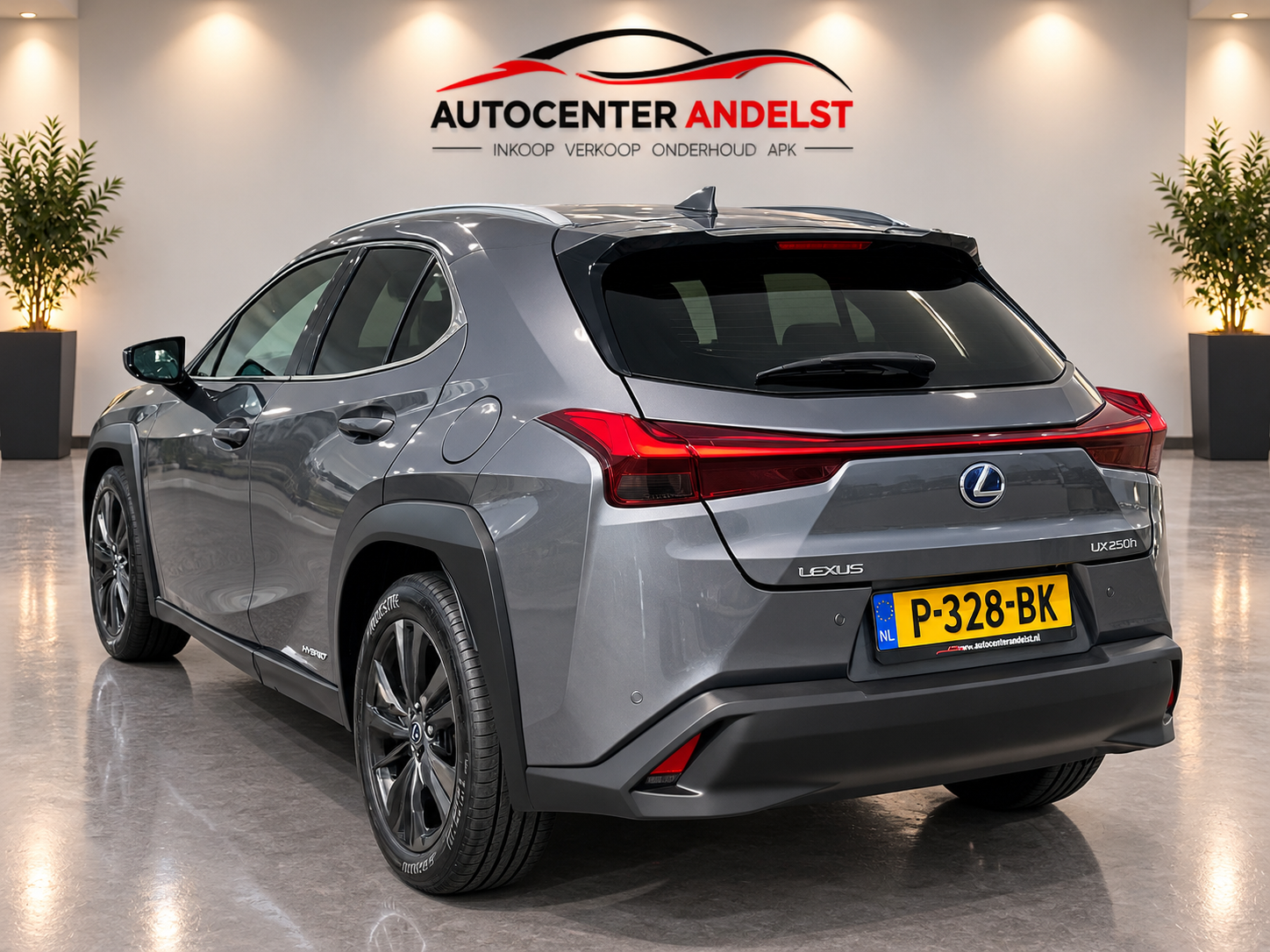 Foto van Lexus Lexus Ux250h