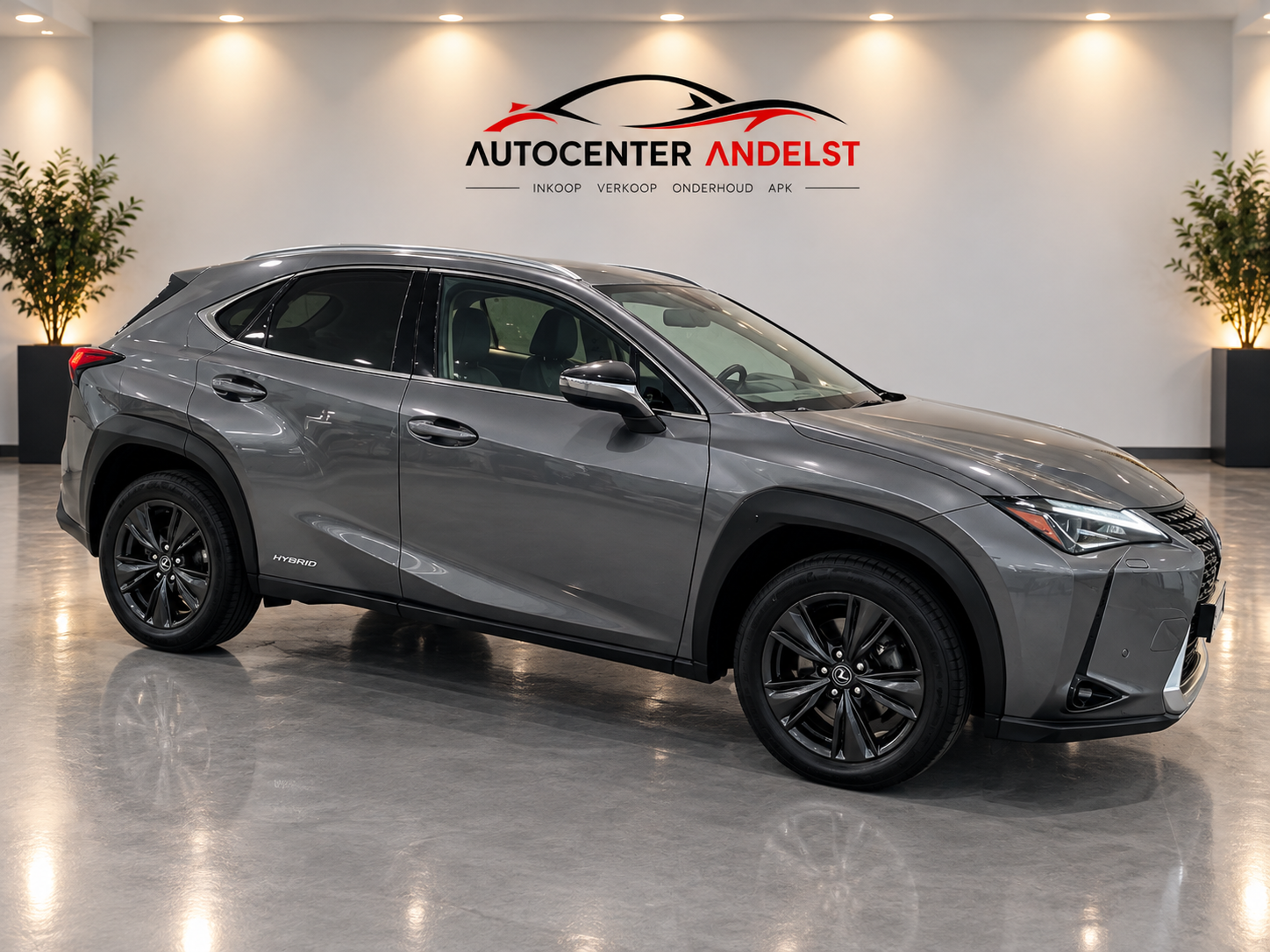 Foto van Lexus Lexus Ux250h