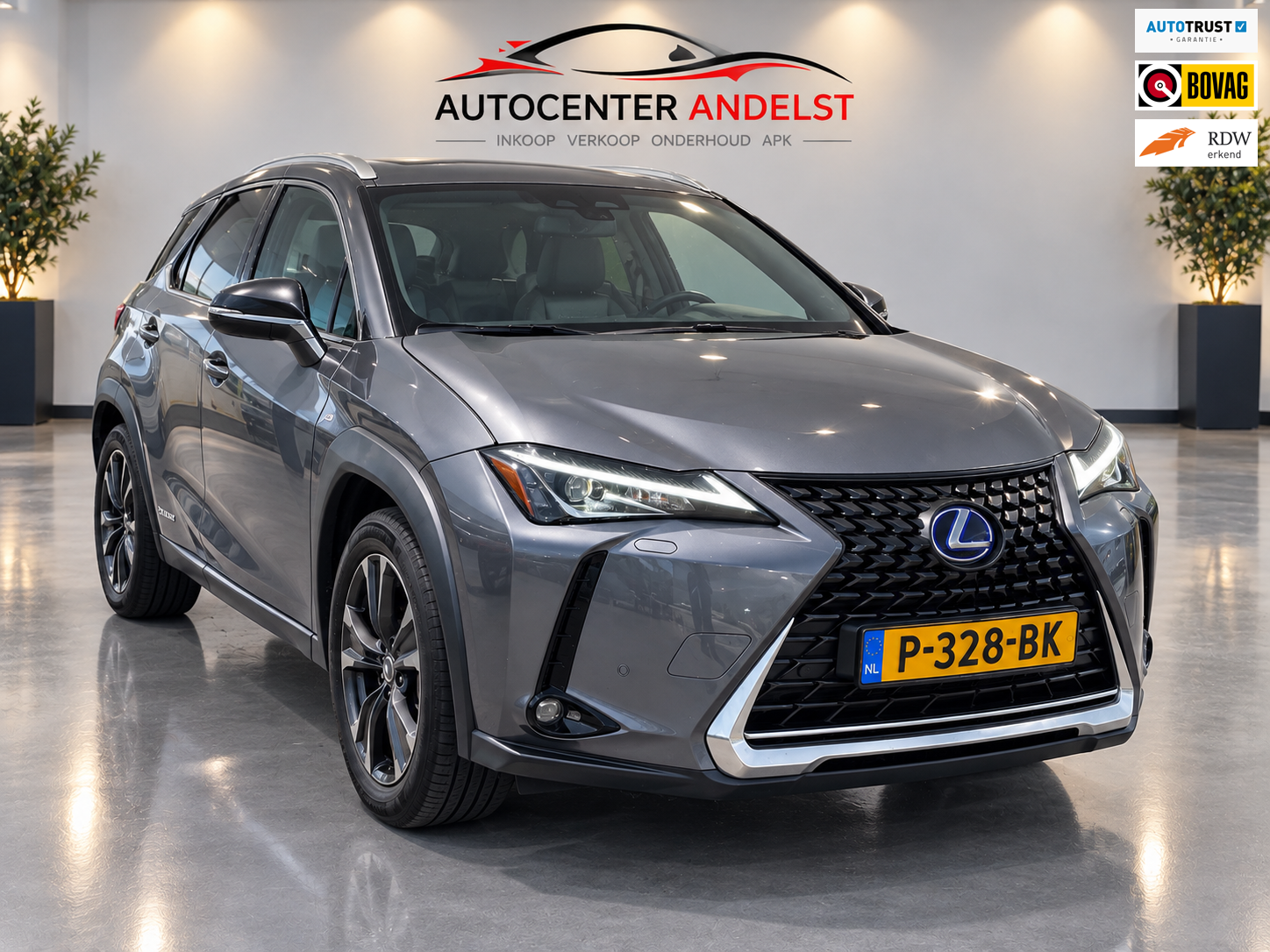 Lexus Lexus Ux250h 250h Business Line, Aut, Acc, Stoelvrw, Navi, Pdc, Cam, Leder, LED, Bluetooth, Lmv, Goed oh! 2019 - voorkant