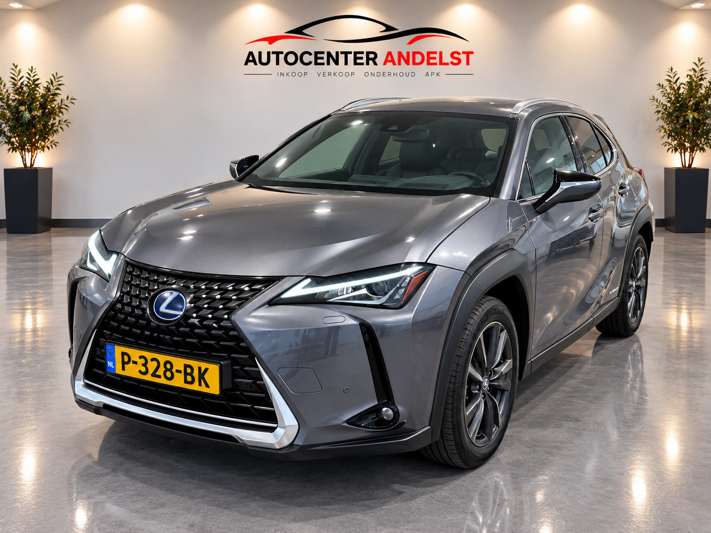 Foto van Lexus Lexus Ux250h
