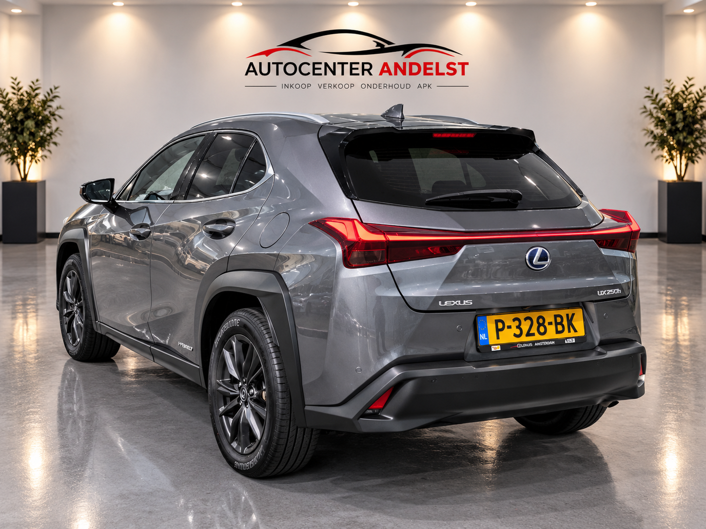 Foto van Lexus Lexus Ux250h