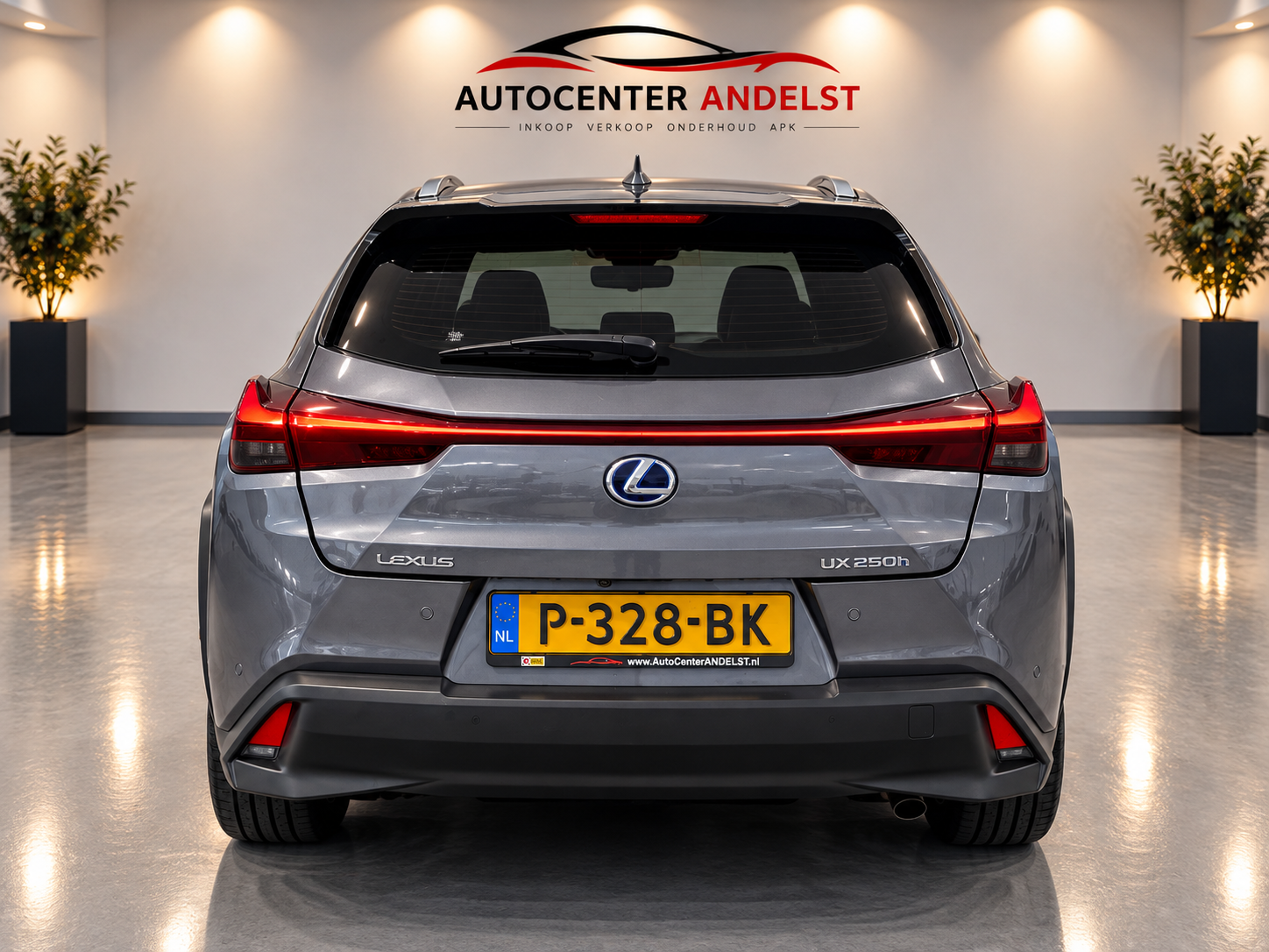 Foto van Lexus Lexus Ux250h