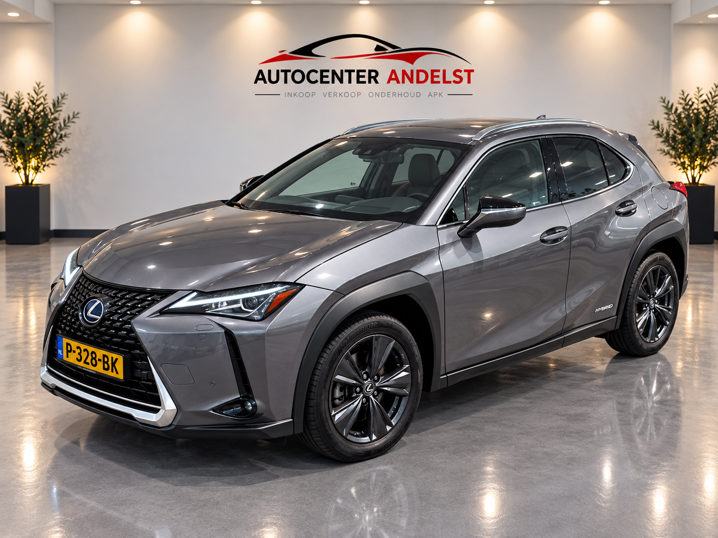Foto van Lexus Lexus Ux250h