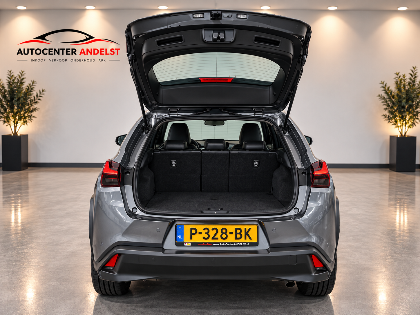 Foto van Lexus Lexus Ux250h