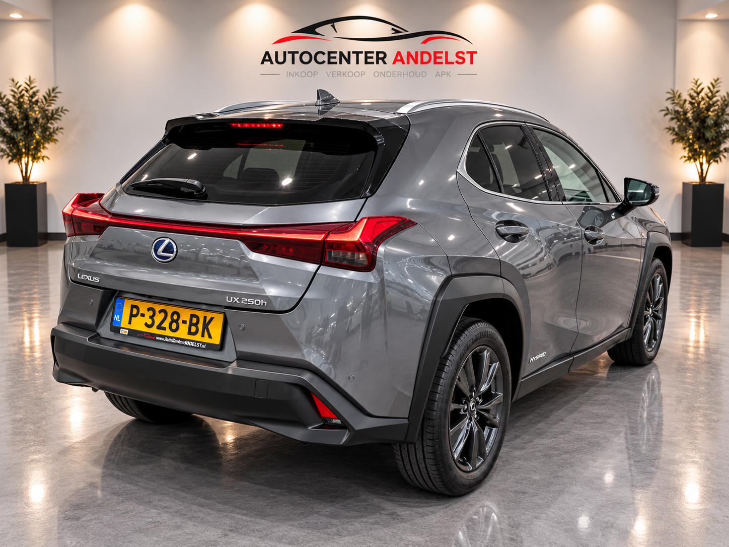 Foto van Lexus Lexus Ux250h
