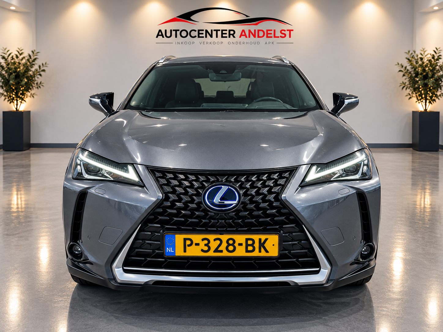 Foto van Lexus Lexus Ux250h