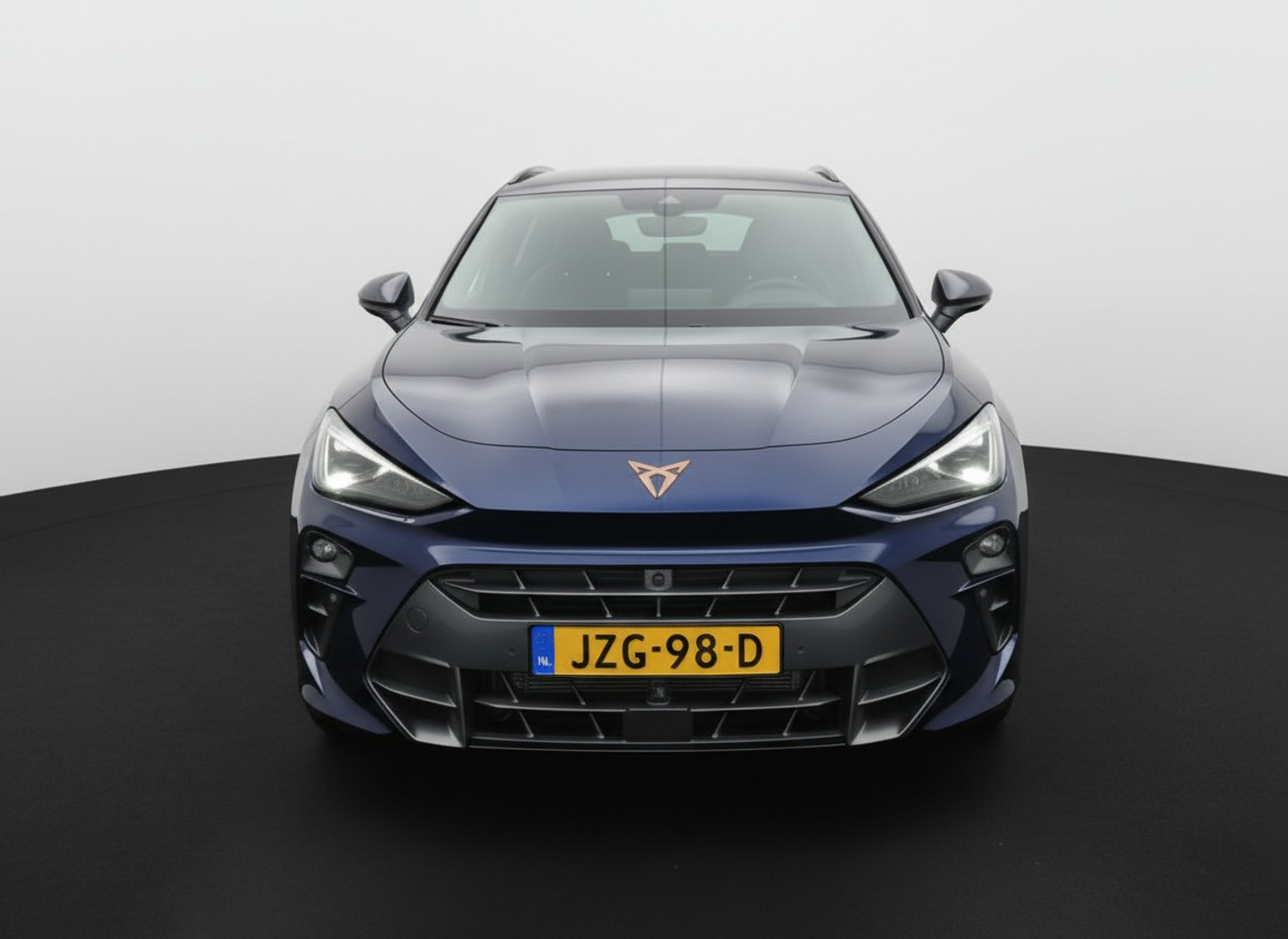 Foto van Cupra Terramar