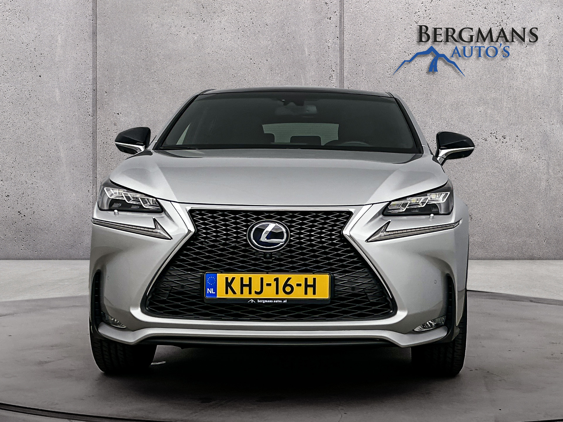 Foto van Lexus Lexus Nx300h