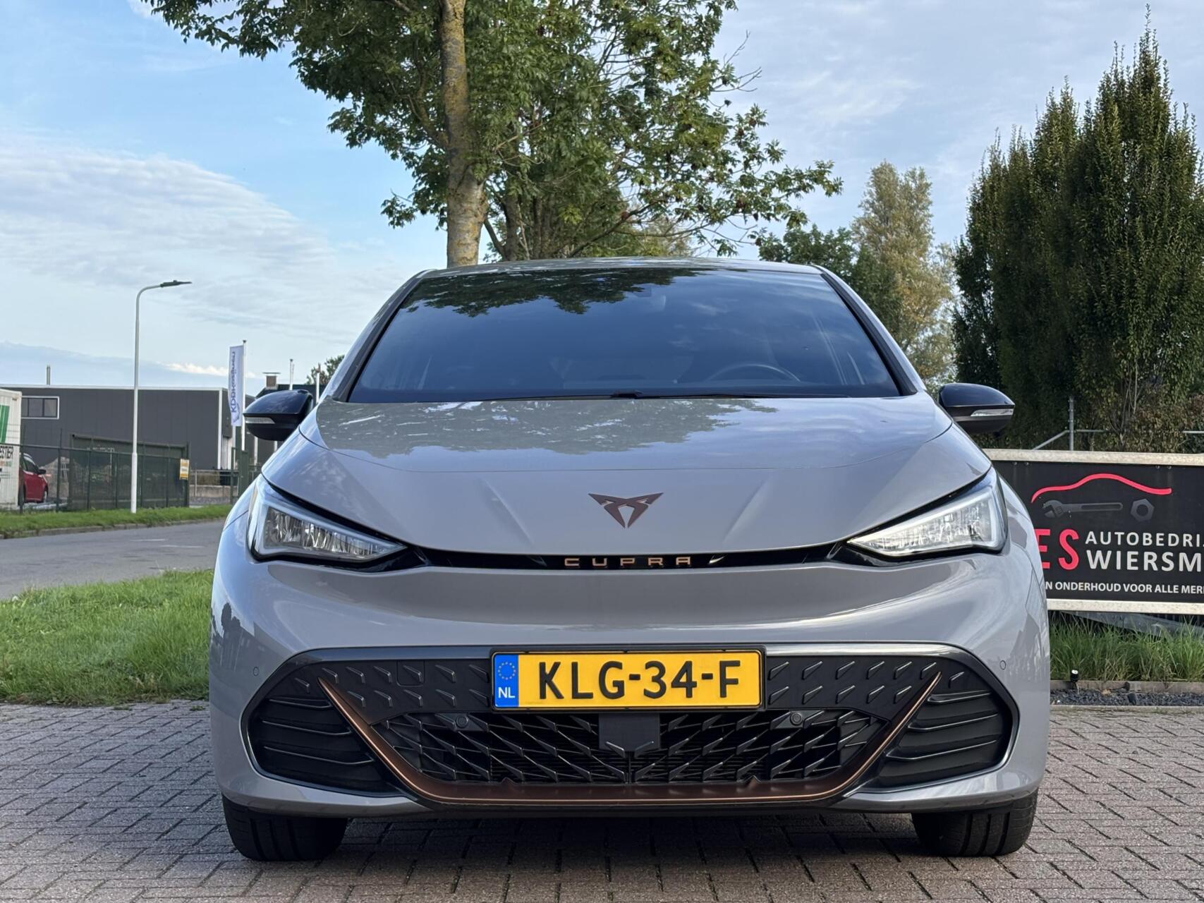 Foto van Cupra Born