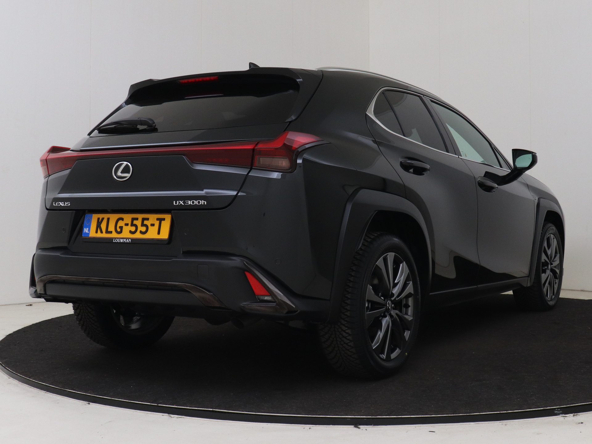 Foto van Lexus Ux