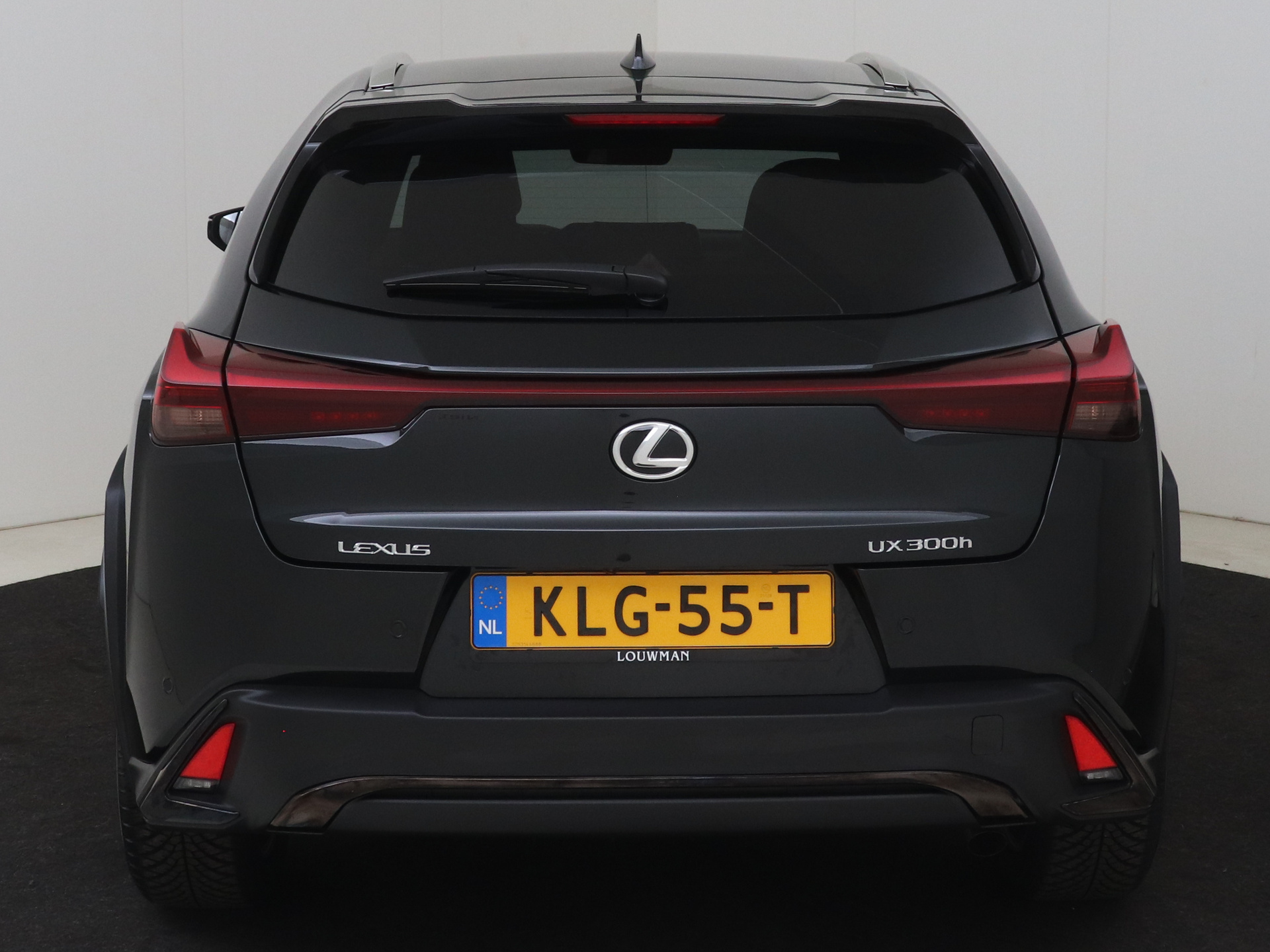 Foto van Lexus Ux