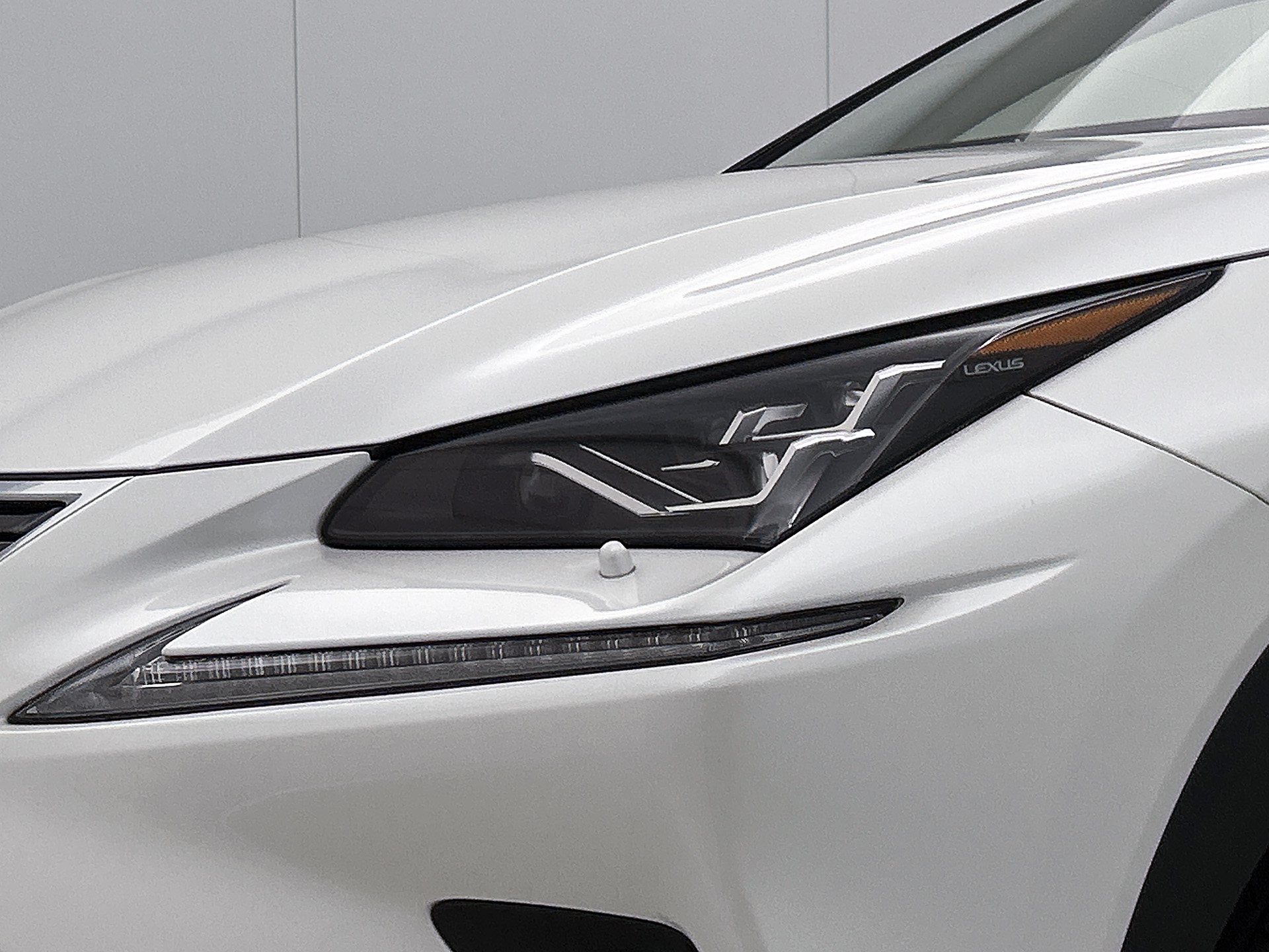 Foto van Lexus NX