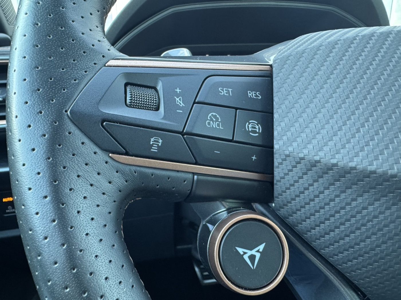 Foto van Cupra Leon Sportstourer