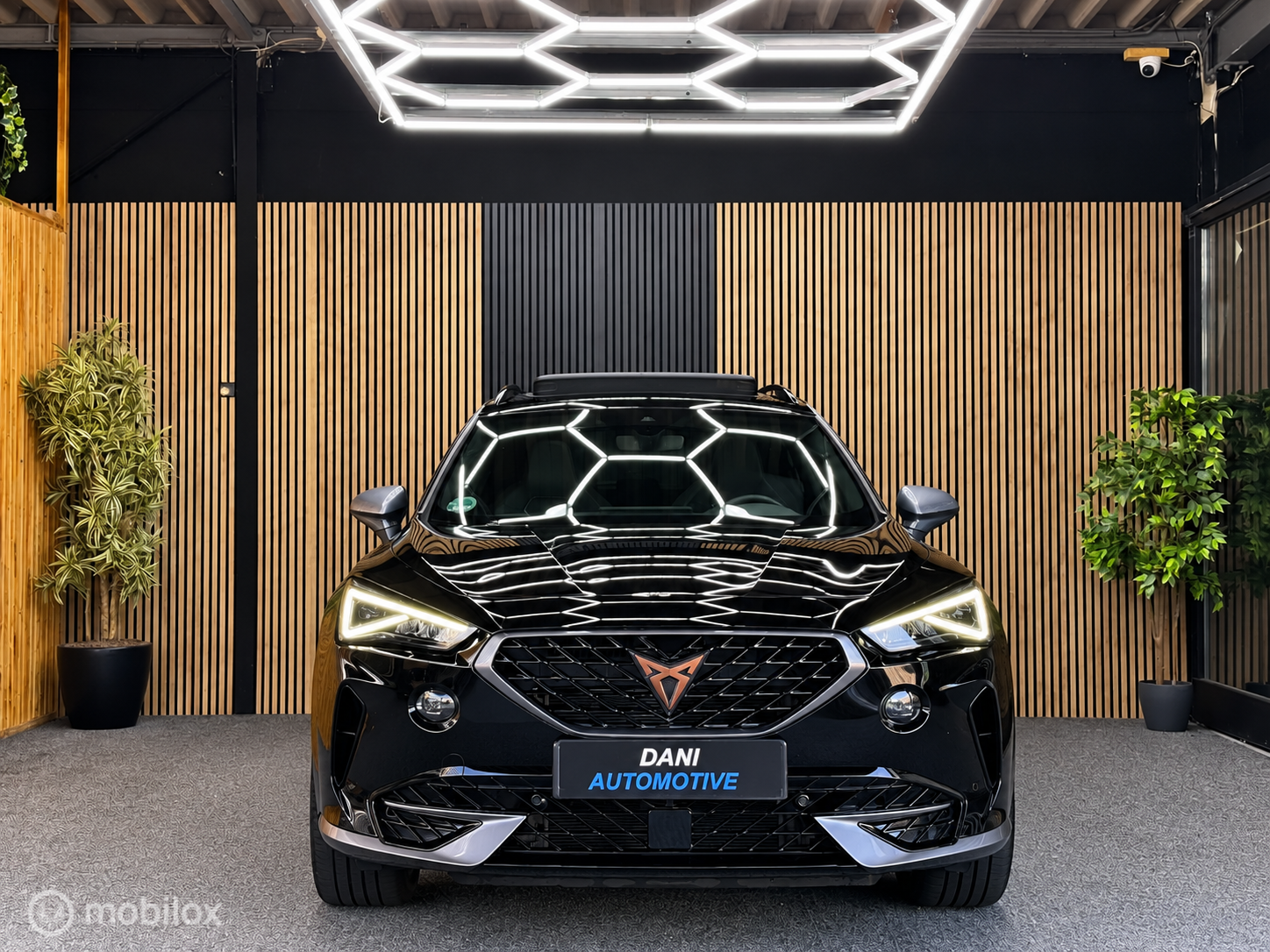 Foto van Cupra Formentor