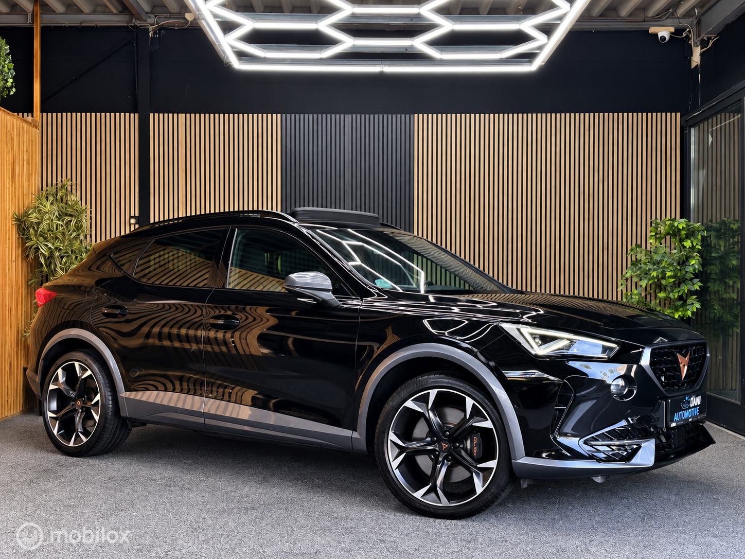 Foto van Cupra Formentor