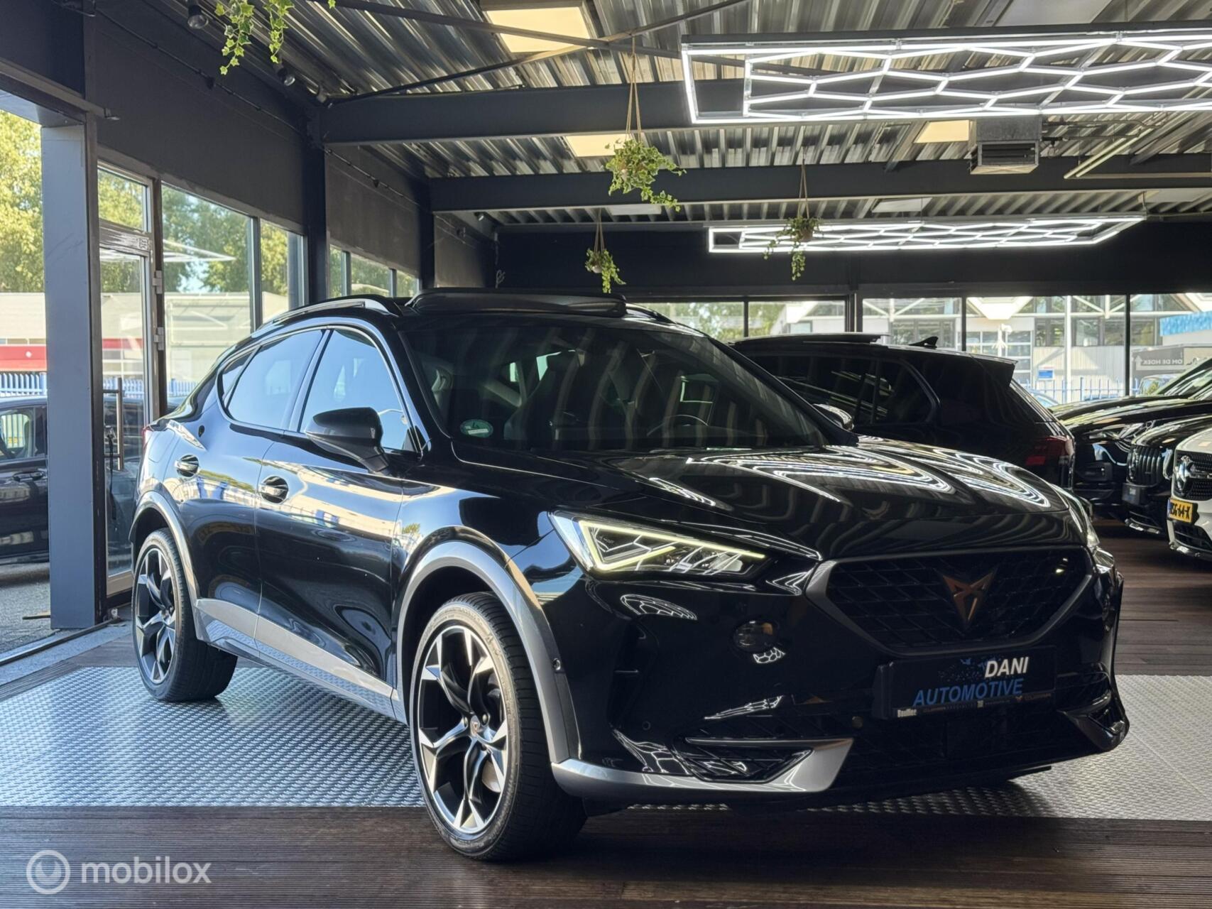 Foto van Cupra Formentor