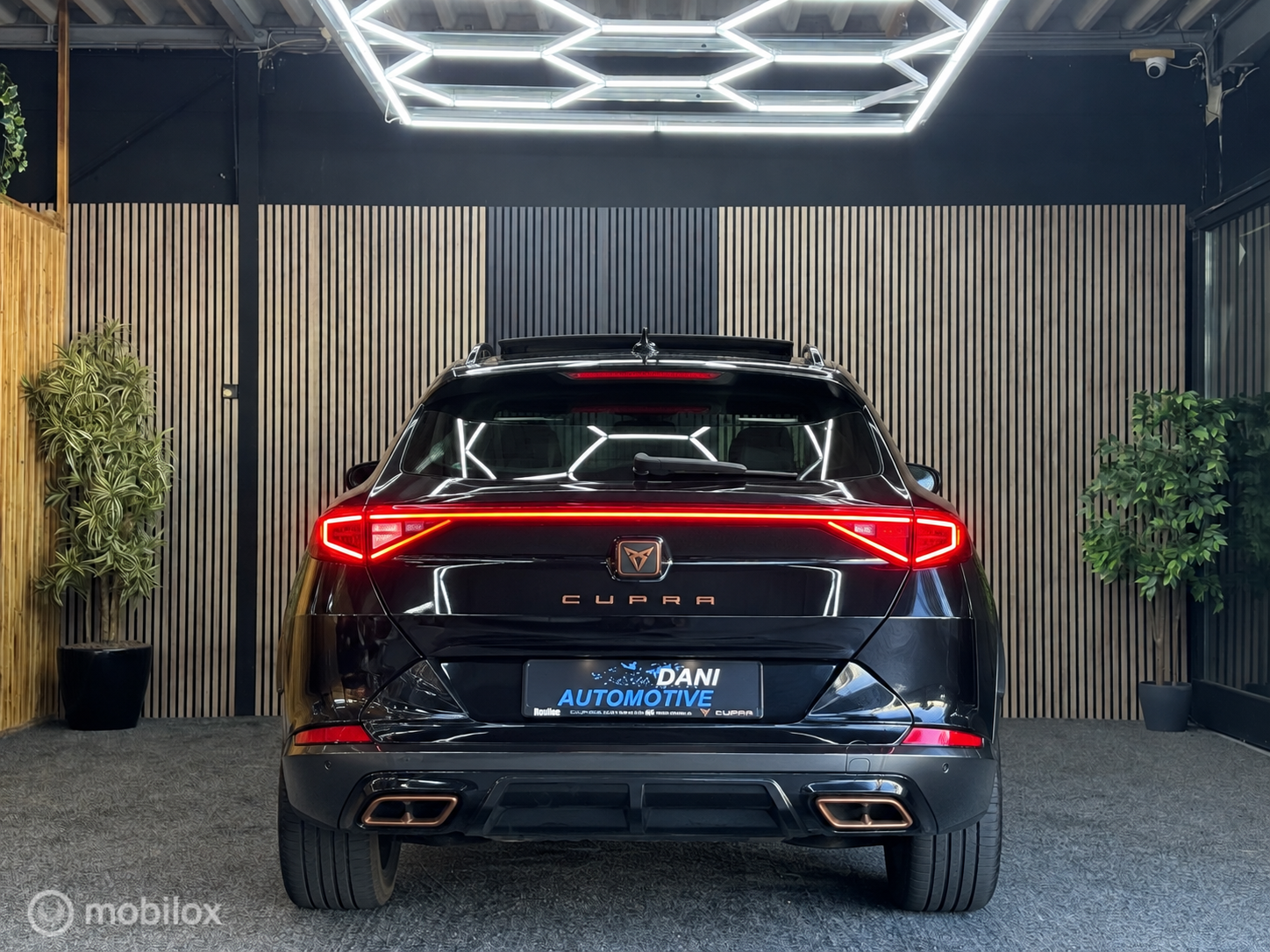 Foto van Cupra Formentor