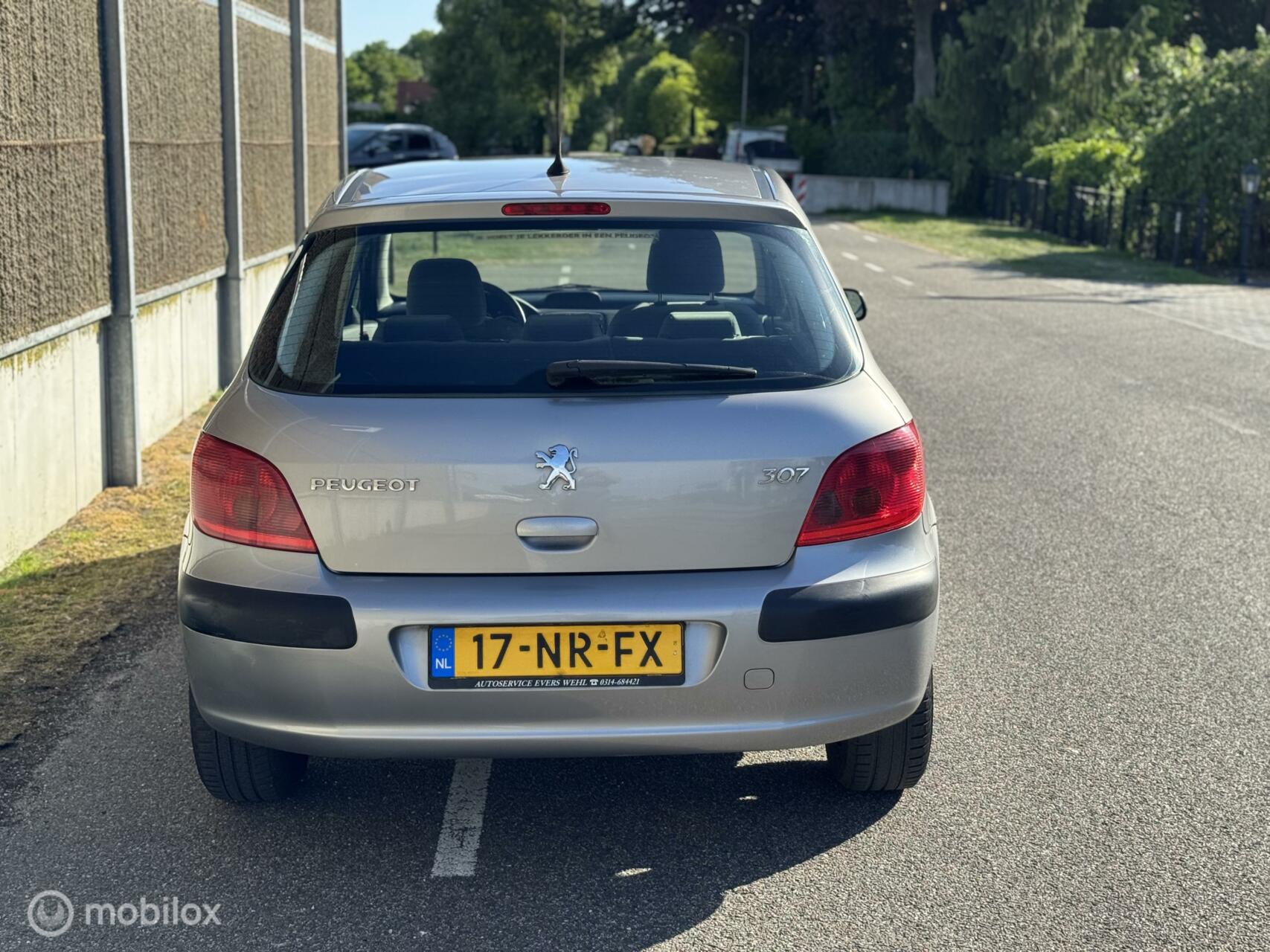 Foto van Peugeot 307