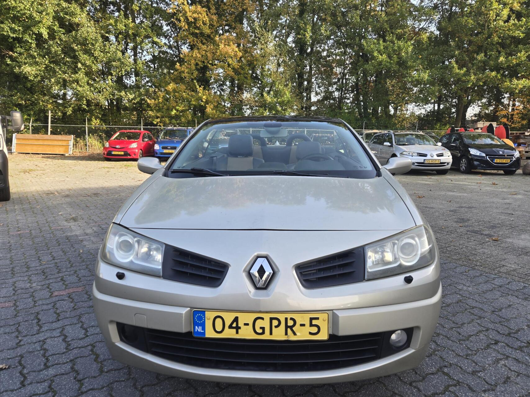 Foto van Renault Megane