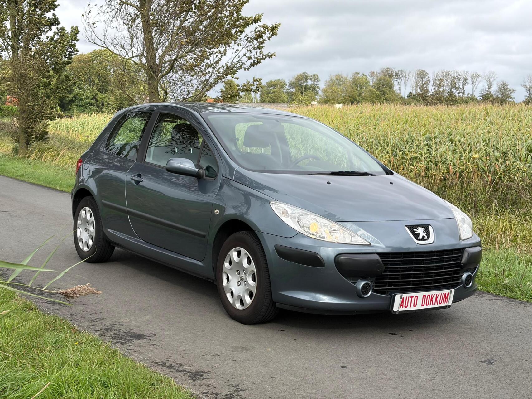 Foto van Peugeot 307